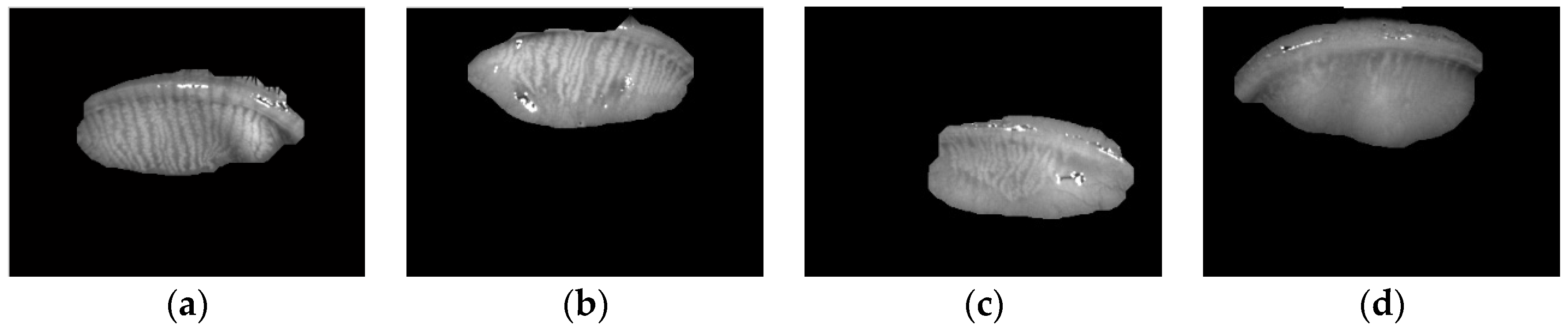 Applsci 07 00192 g007