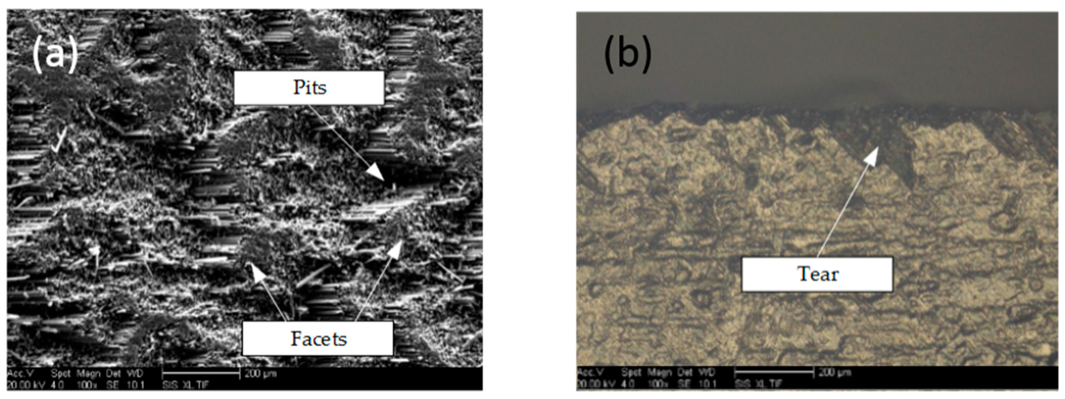 Applsci 07 00199 g007