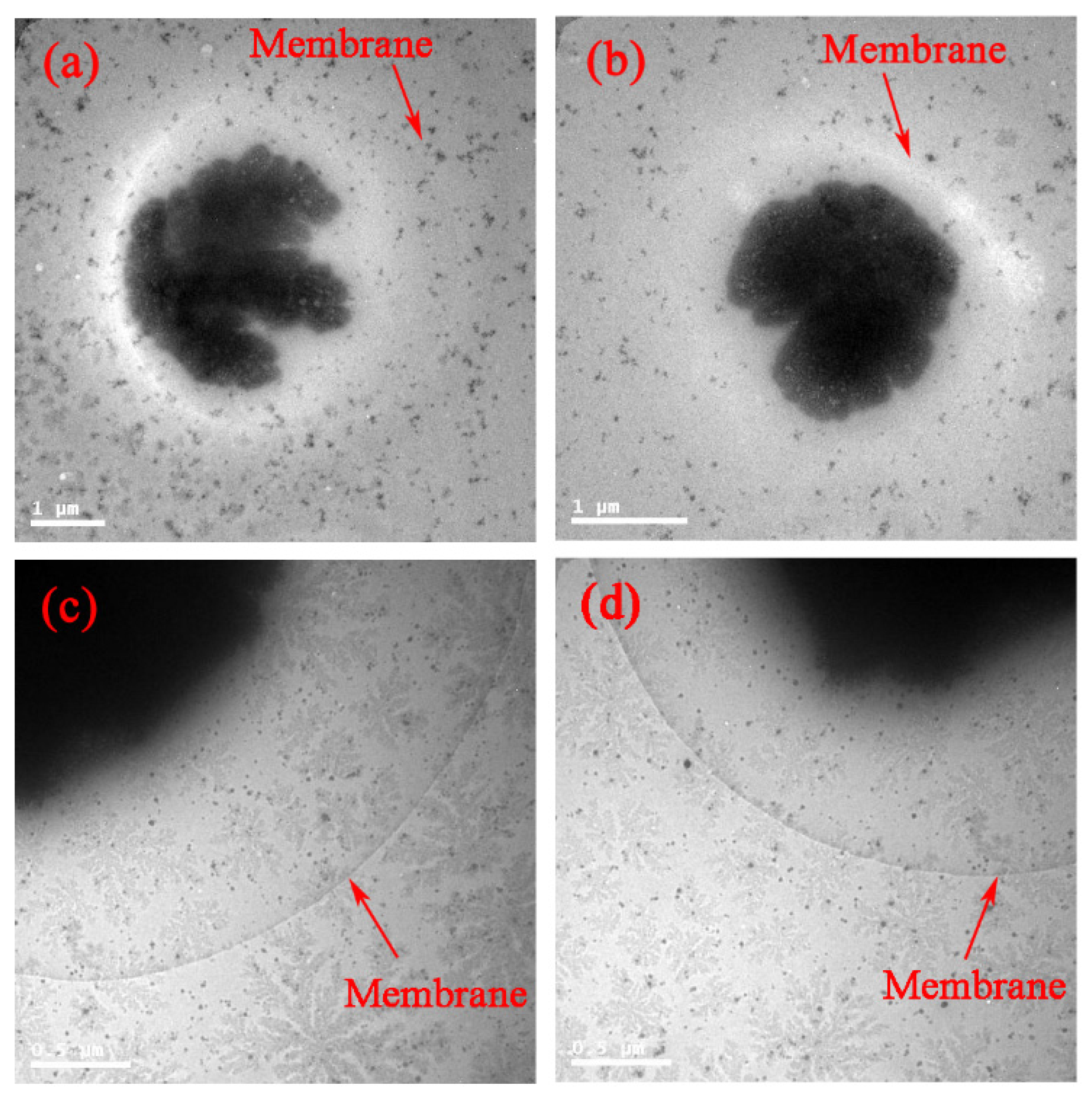 Applsci 07 00232 g004