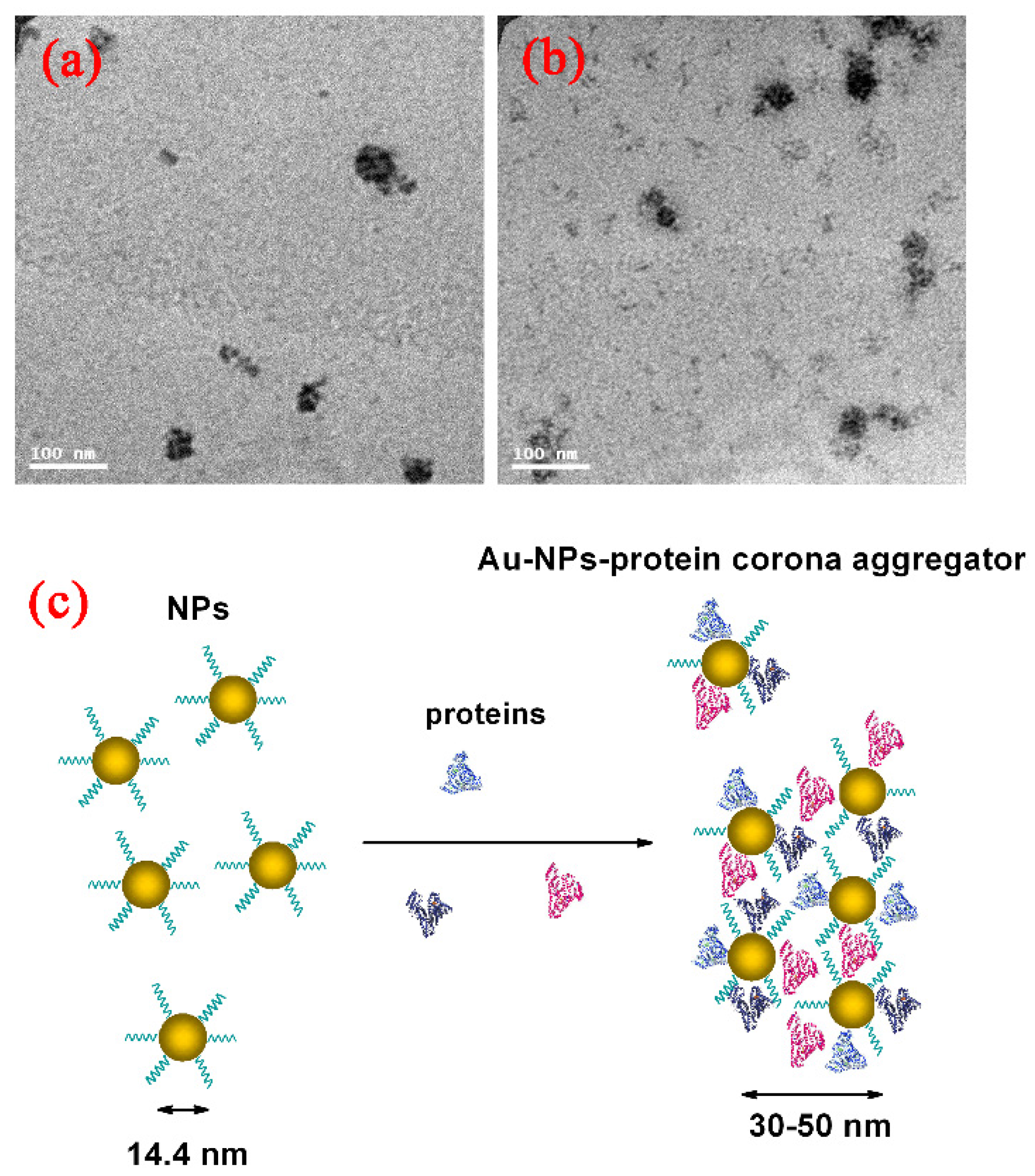 Applsci 07 00232 g006