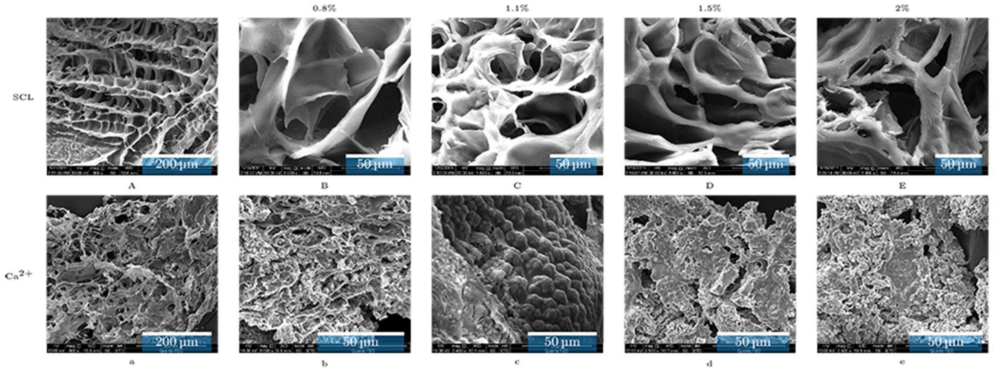Applsci 07 00252 g001