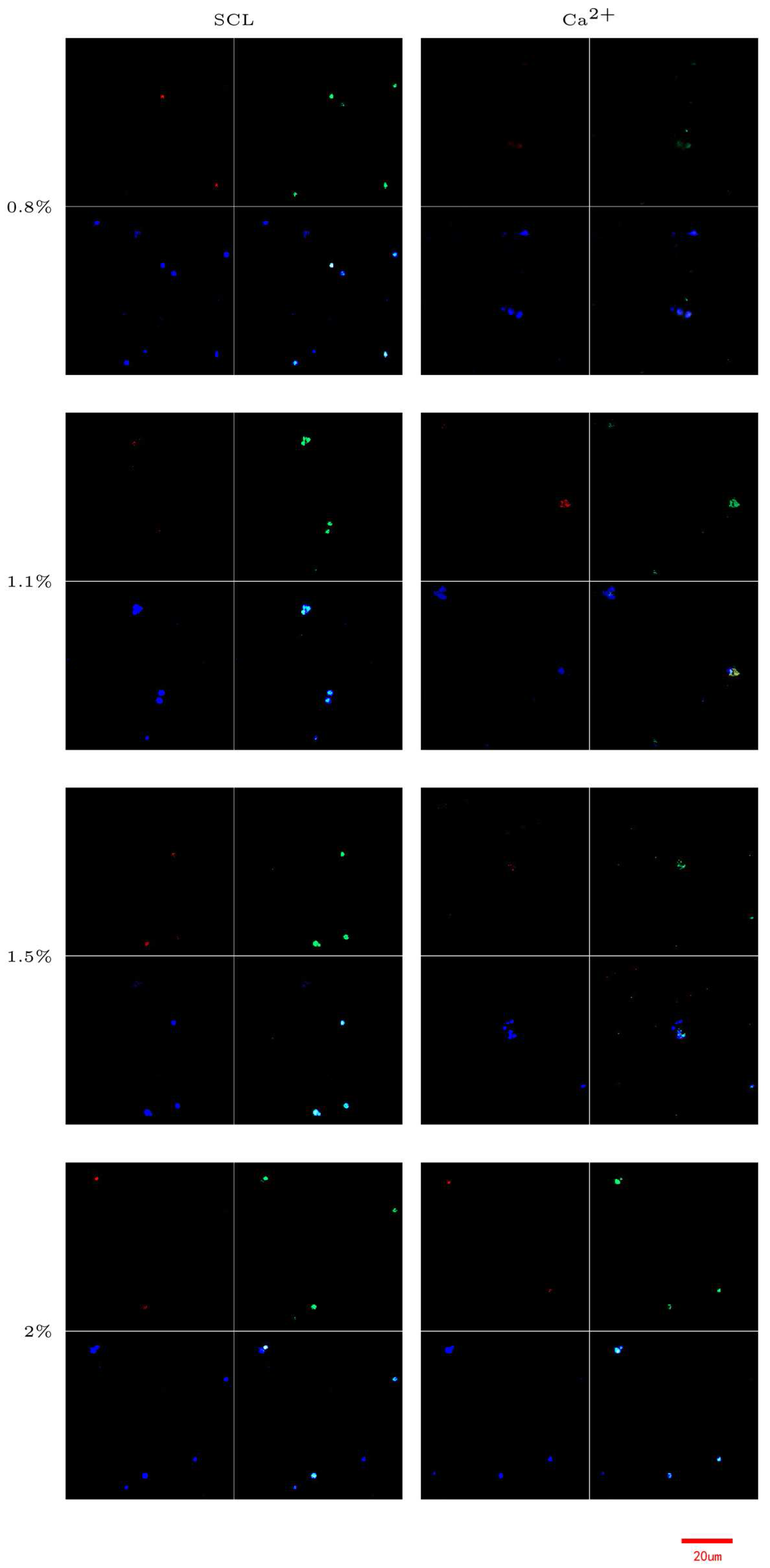 Applsci 07 00252 g005