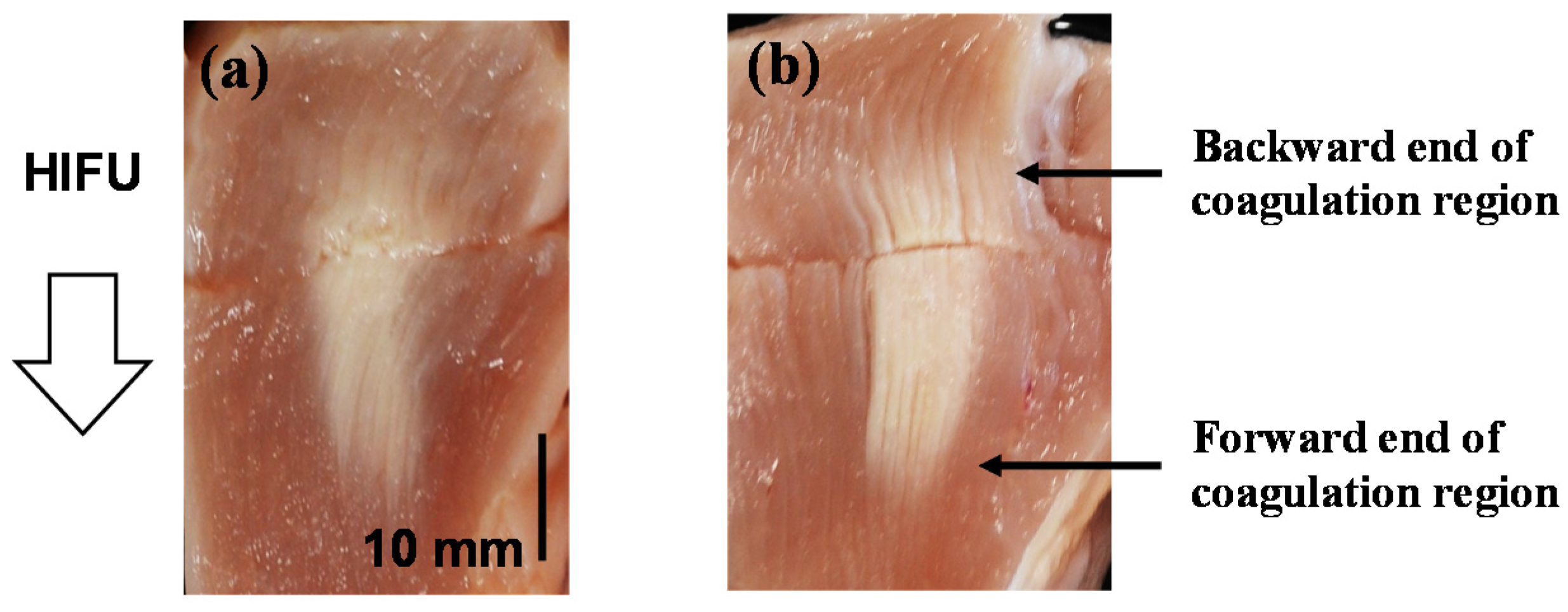 Applsci 07 00288 g012