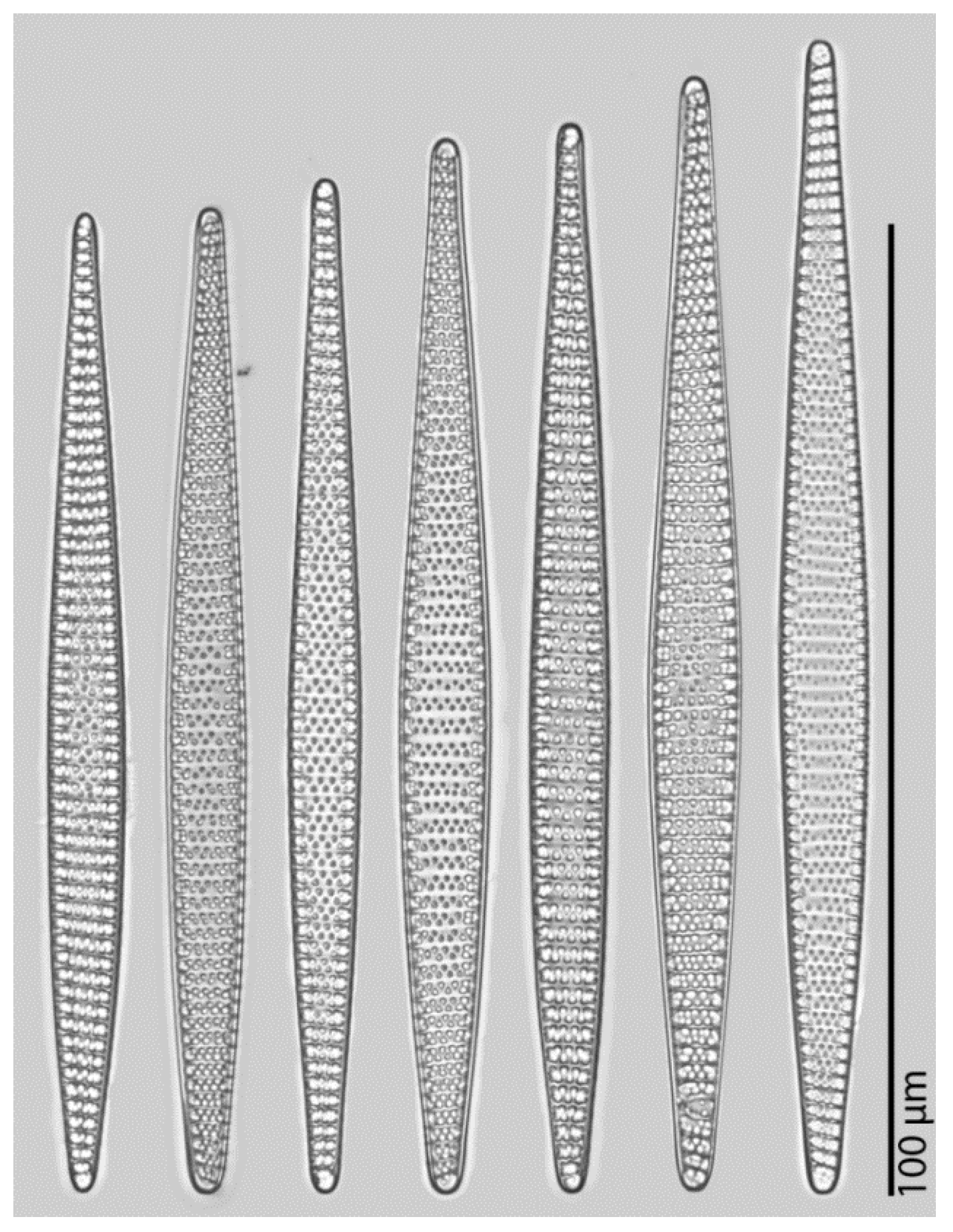 Applsci 07 00330 g006