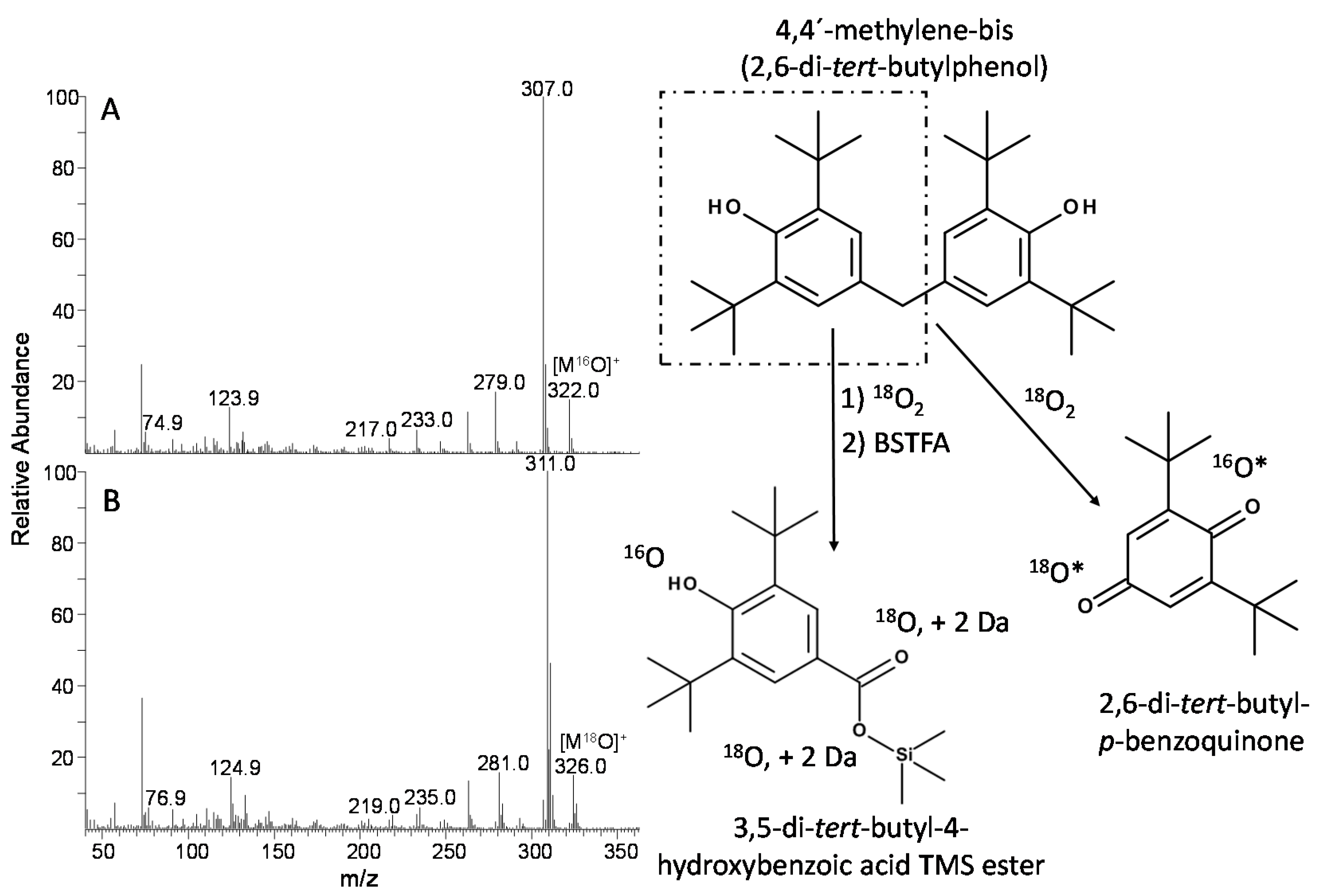 Applsci 07 00396 g011