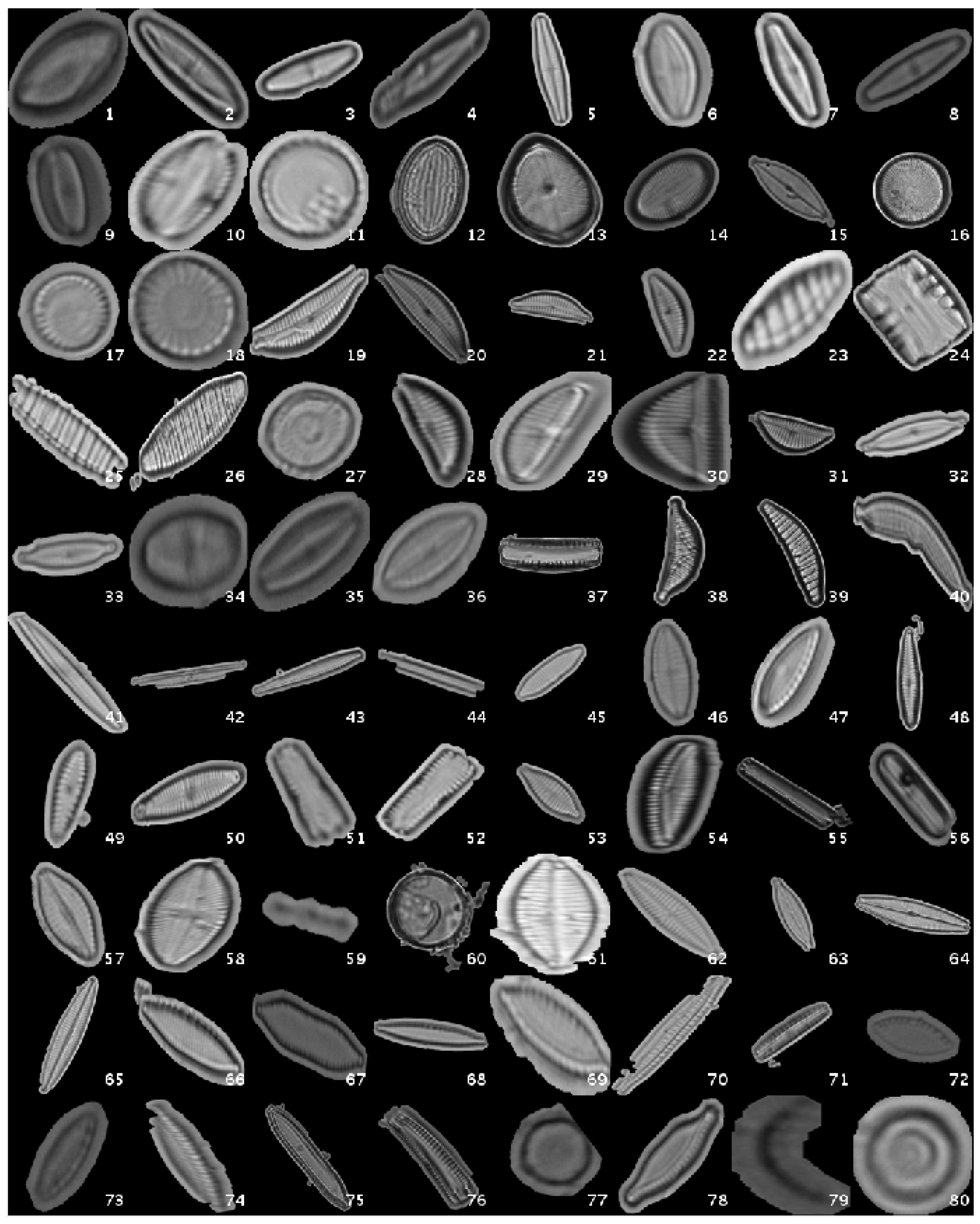 Applsci 07 00460 g002