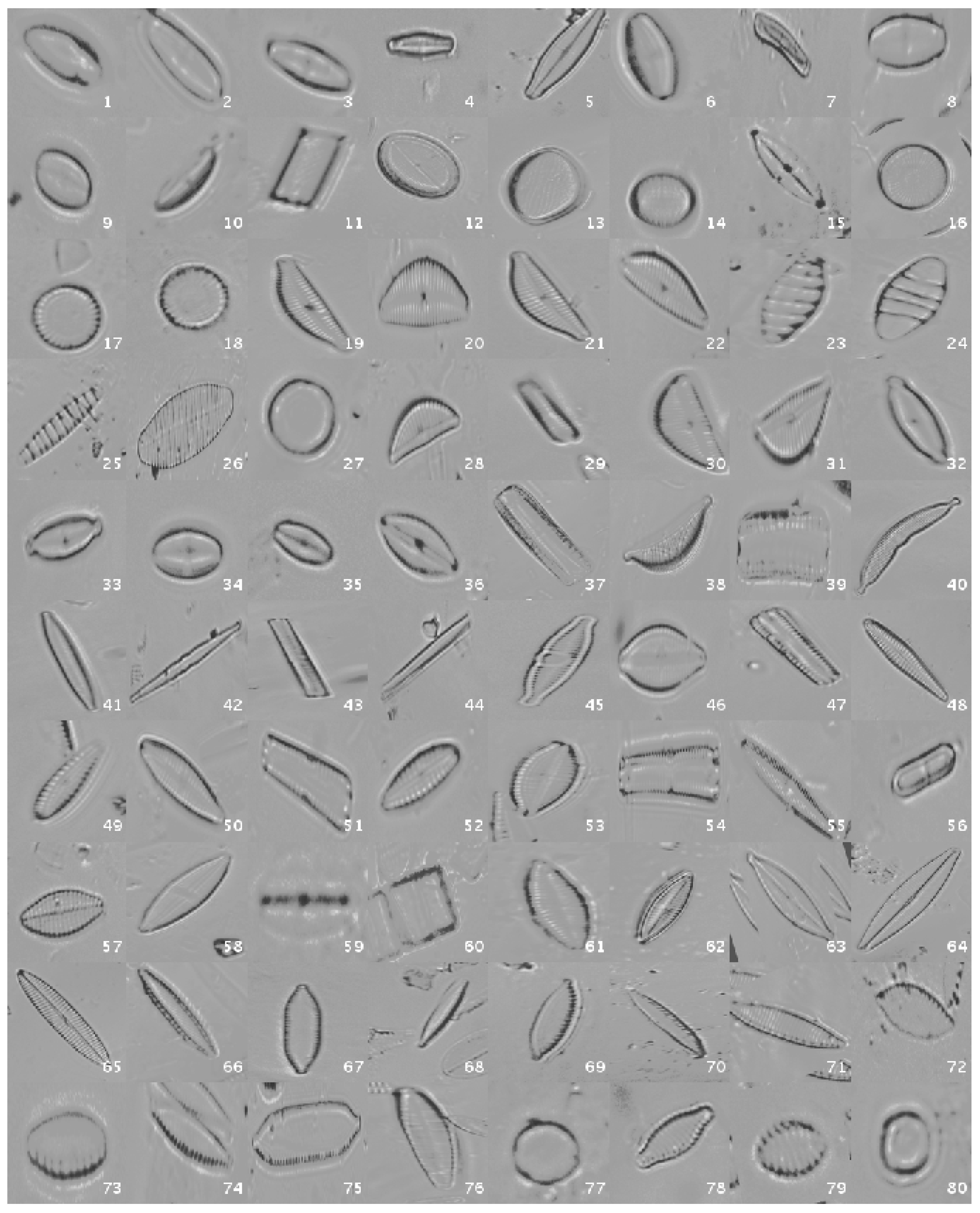 Applsci 07 00460 g003