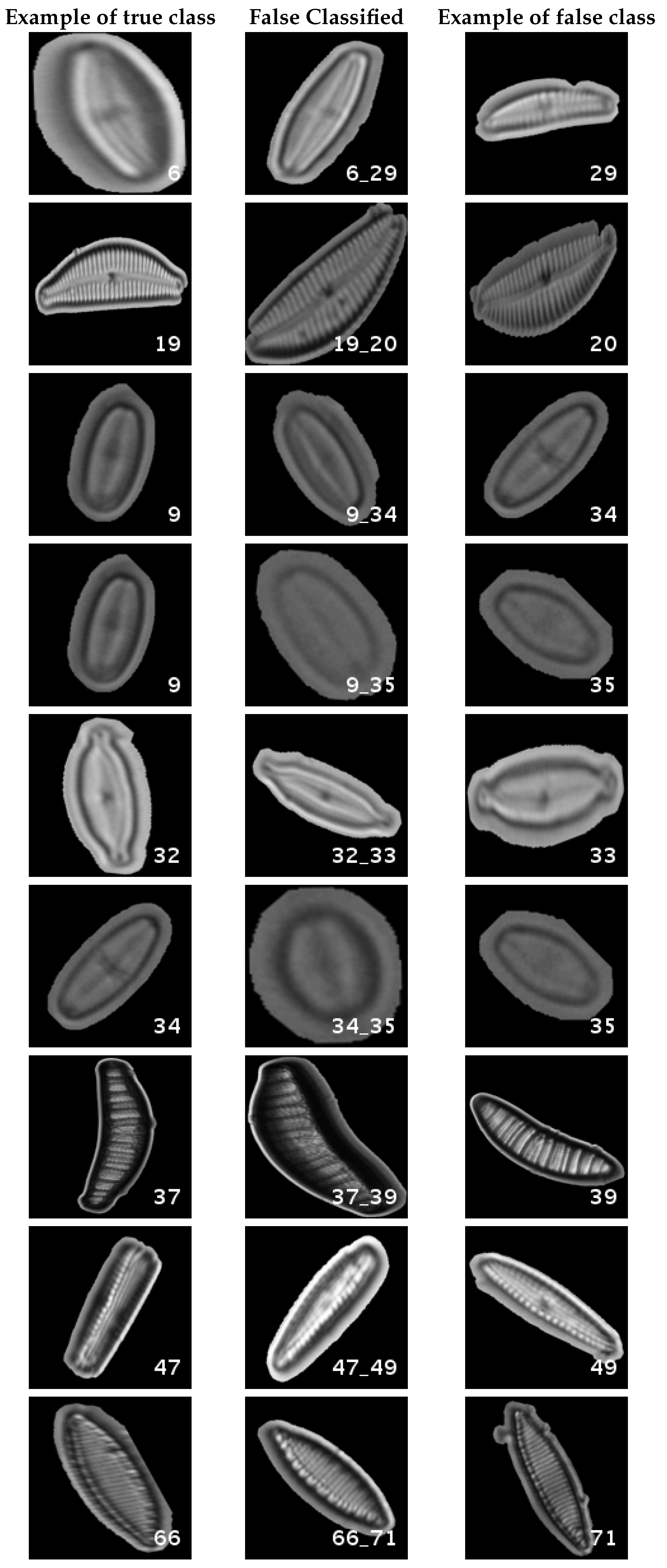 Applsci 07 00460 g012