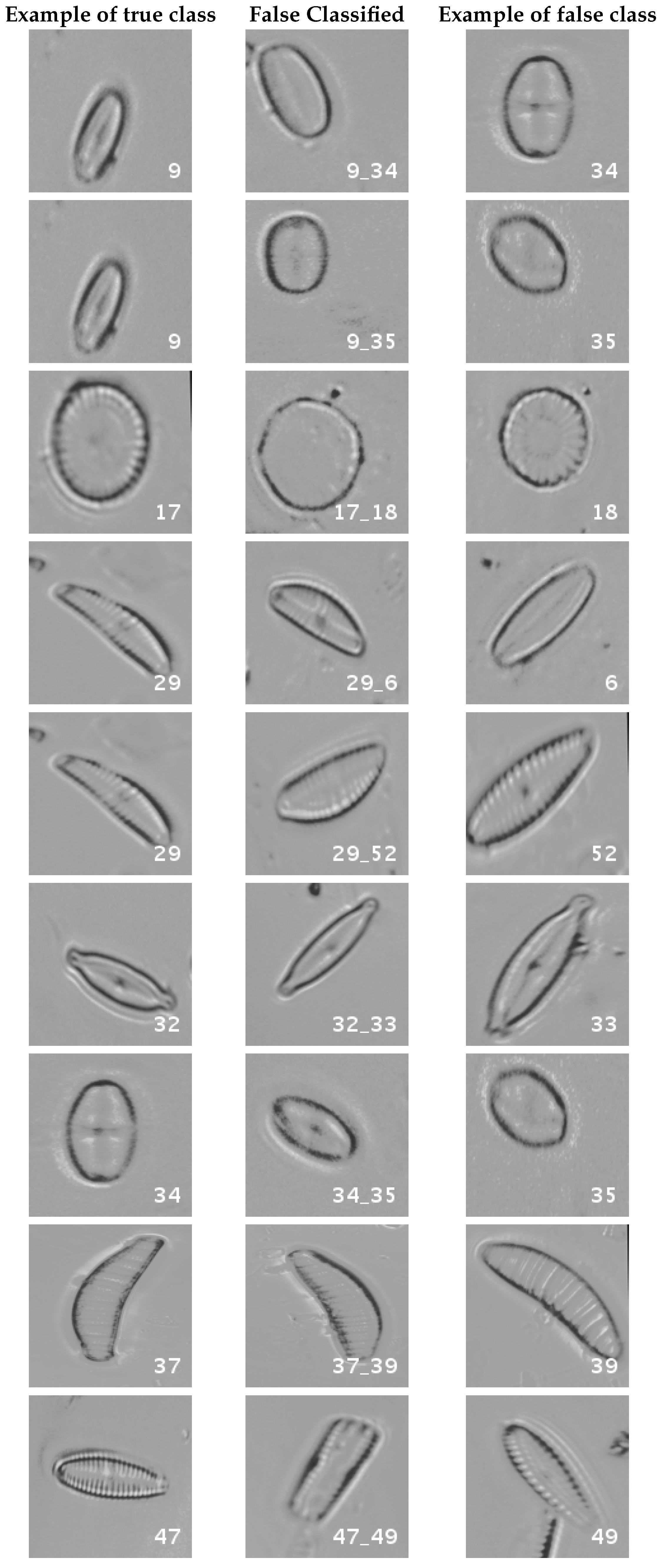 Applsci 07 00460 g016