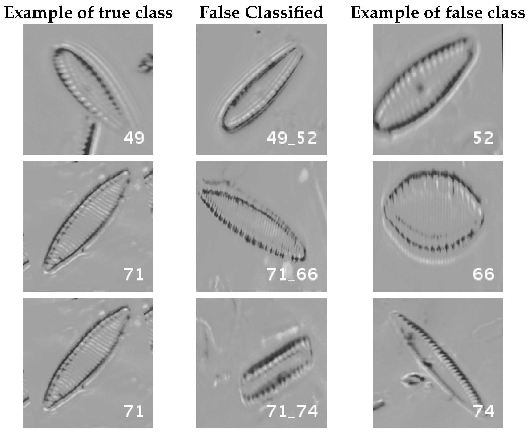 Applsci 07 00460 g017