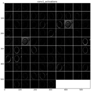 Applsci 07 00460 i005