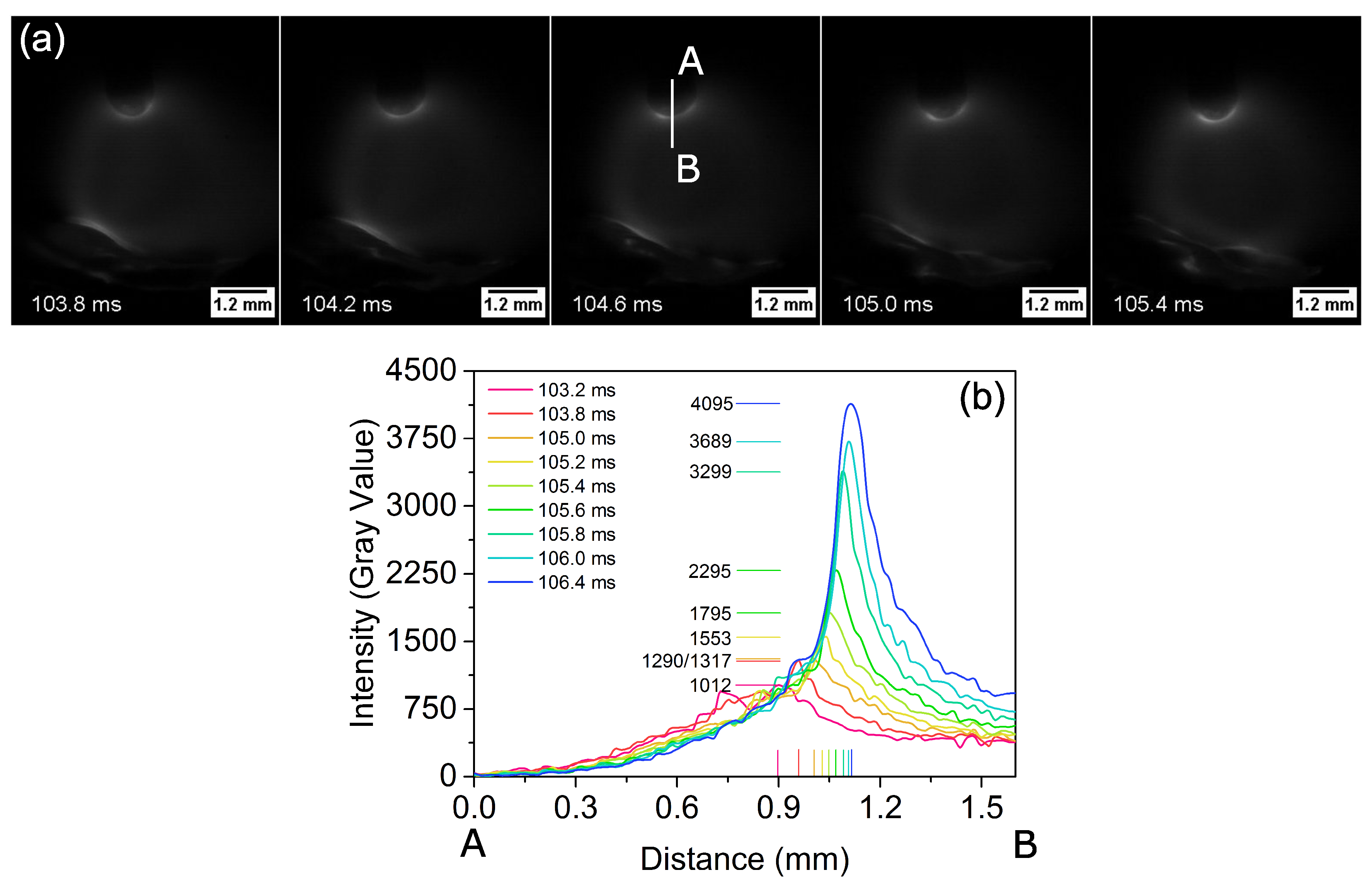 Applsci 07 00503 g002