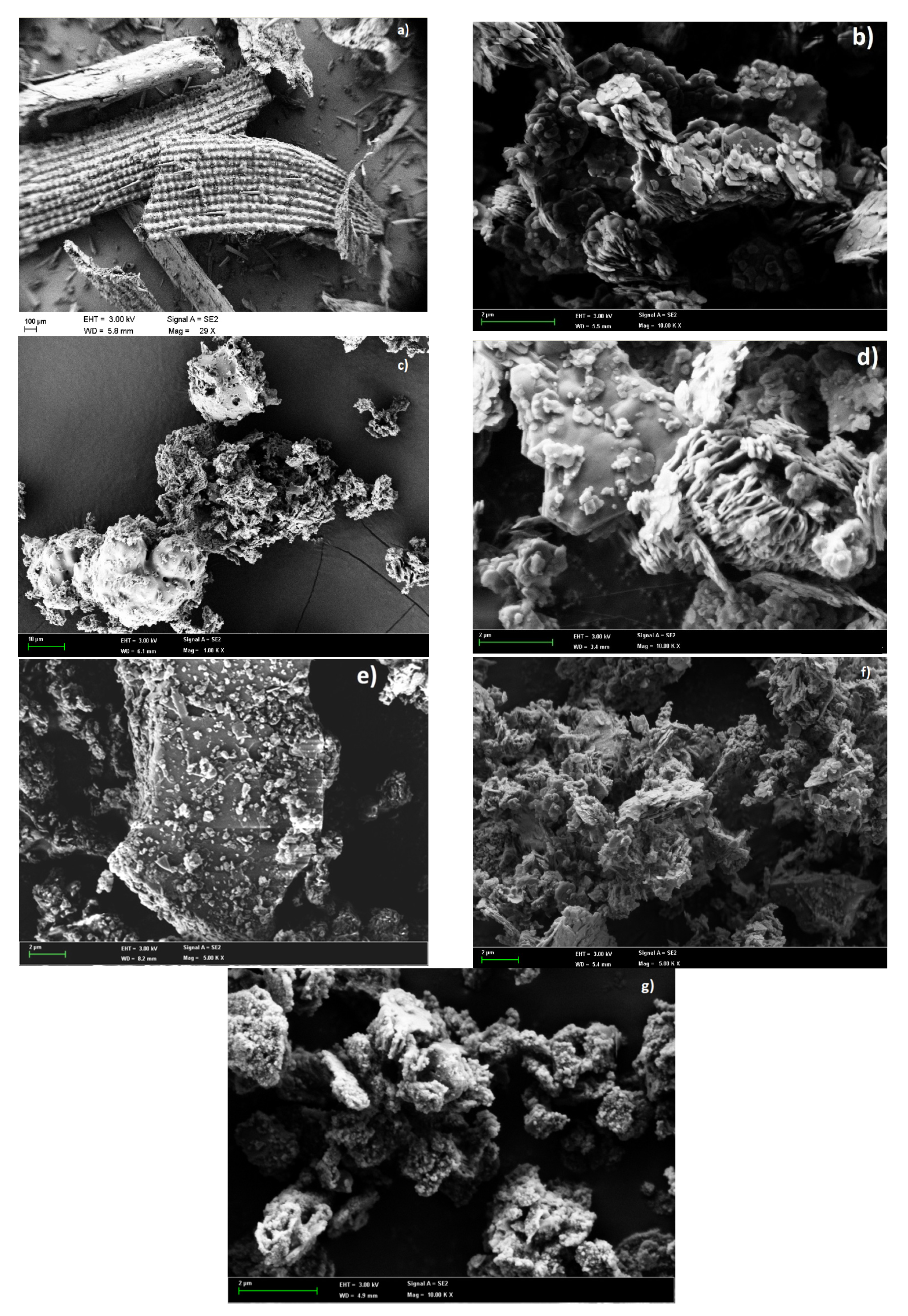 Applsci 07 00514 g004