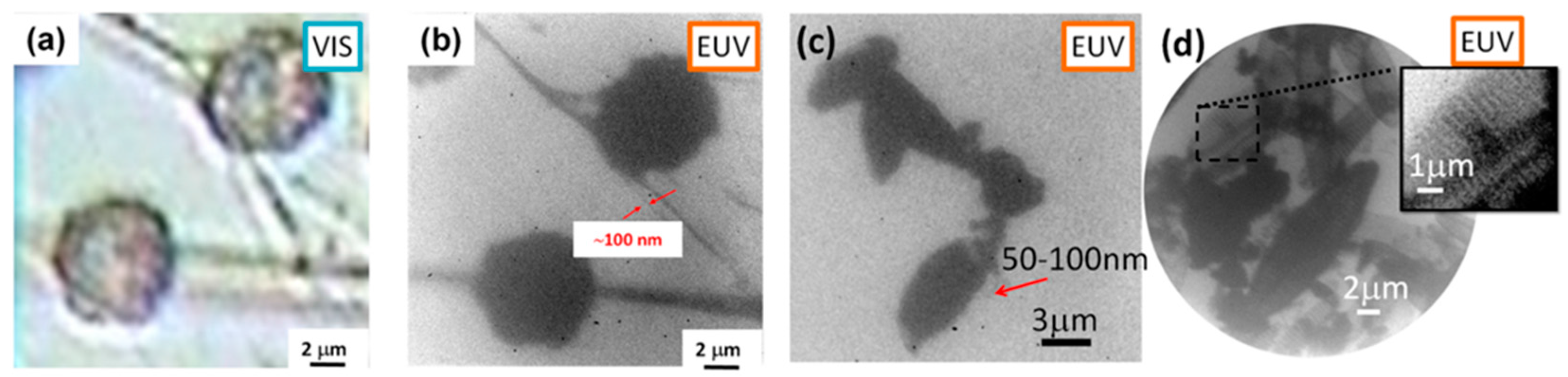 Applsci 07 00548 g004