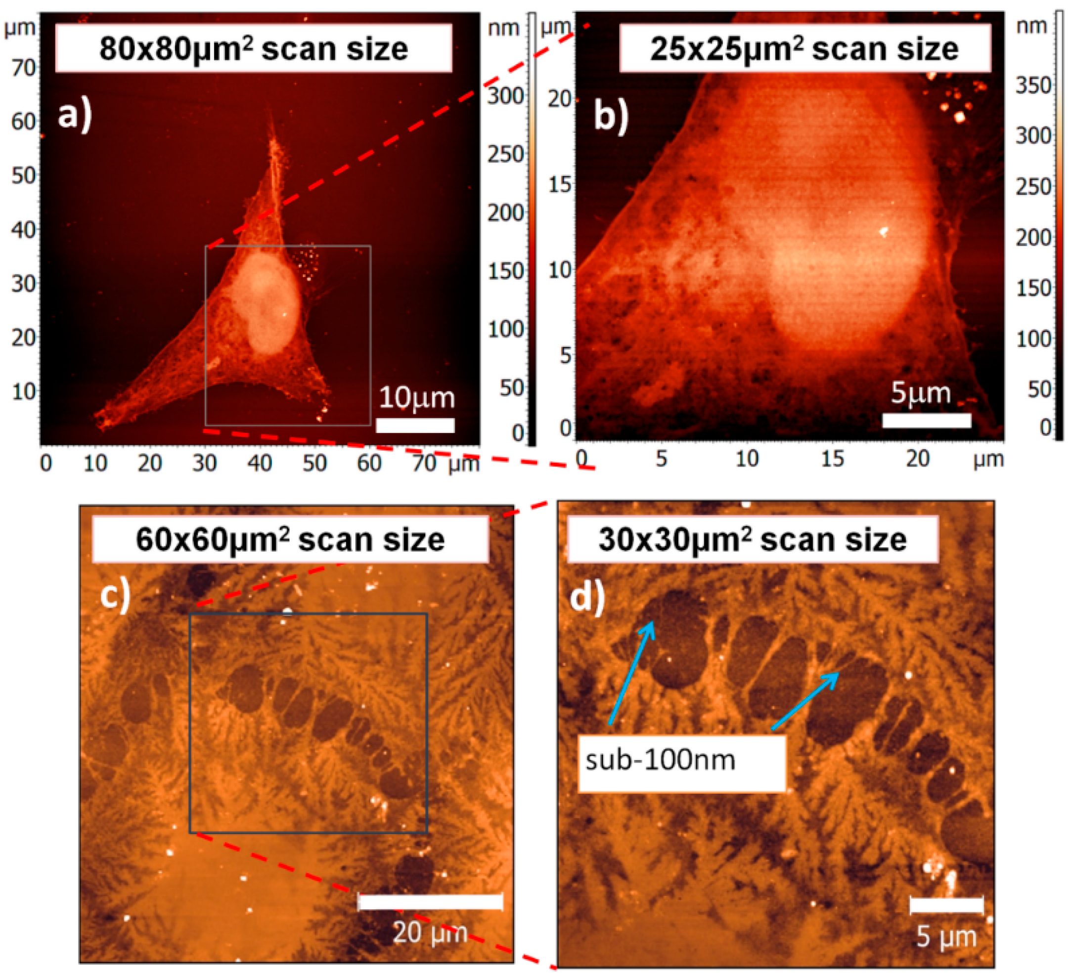 Applsci 07 00548 g005