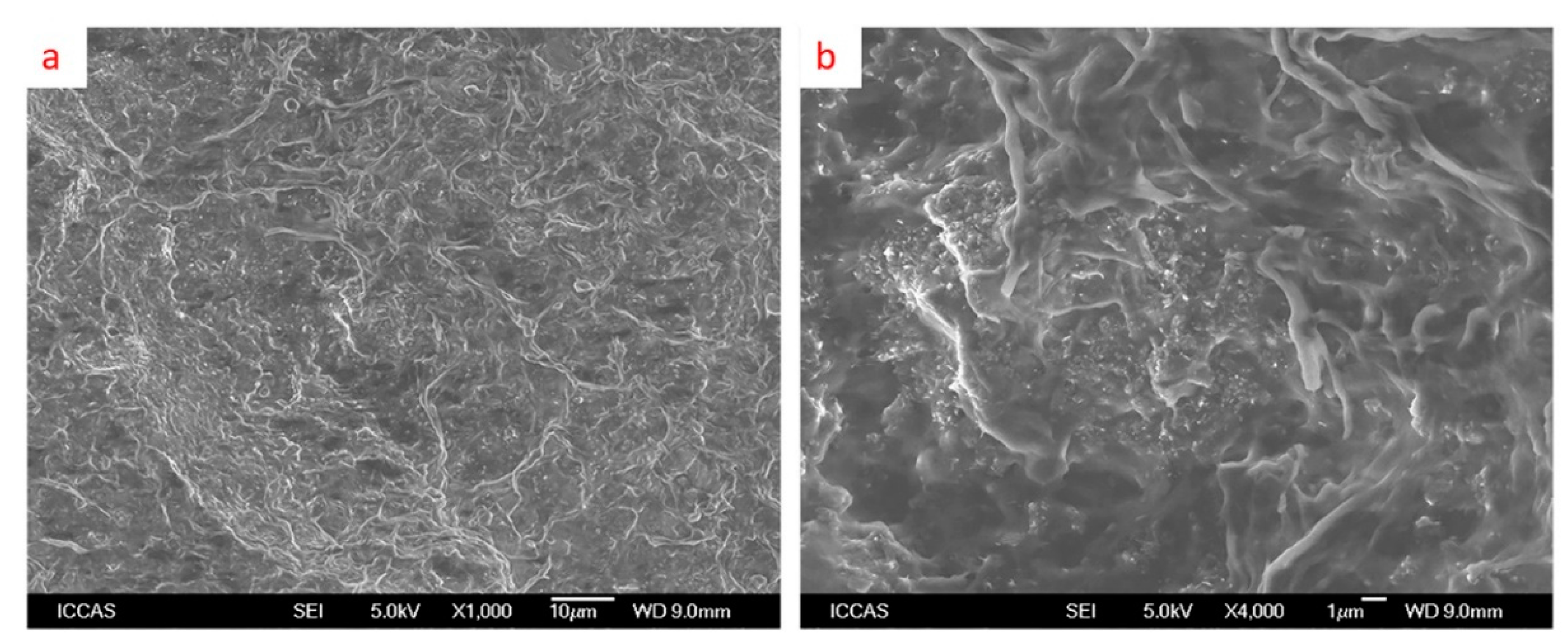 Applsci 07 00574 g007