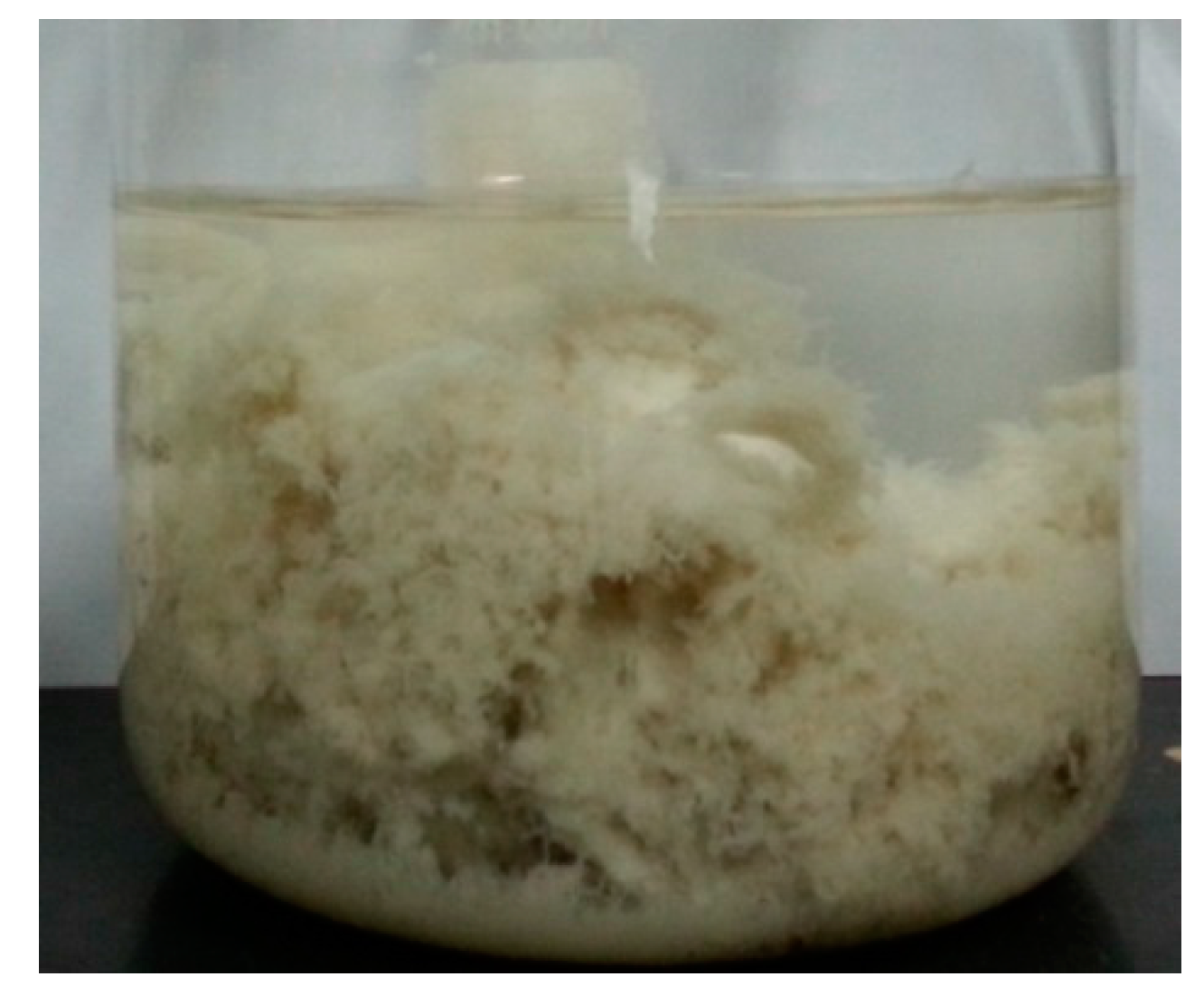 Applsci 07 00594 g010 Applsci 07 00594 g010
