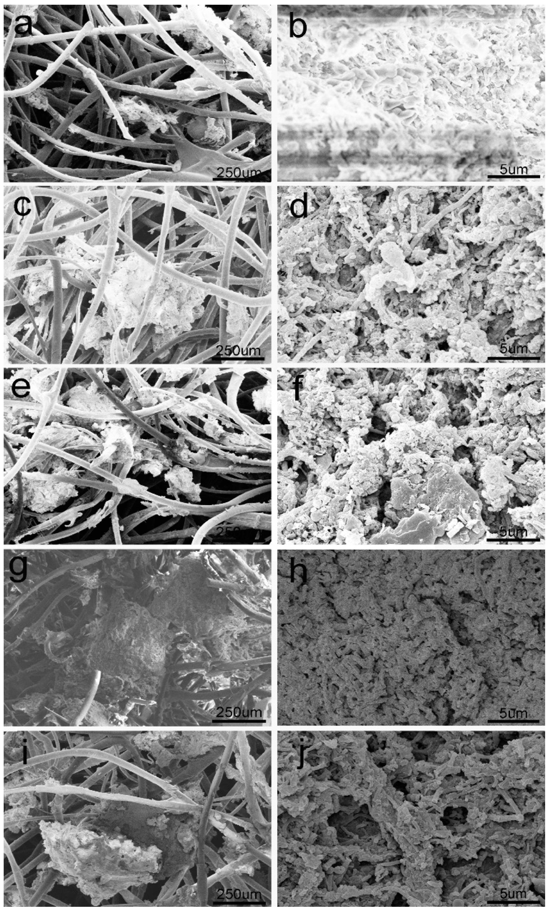 Applsci 07 00605 g007