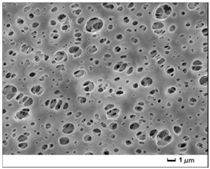 Applsci 07 00637 i003