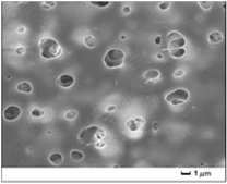 Applsci 07 00637 i004