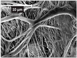 Applsci 07 00637 i006