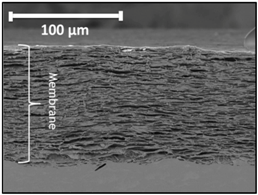 Applsci 07 00637 i008