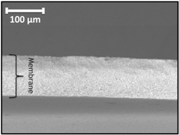 Applsci 07 00637 i009