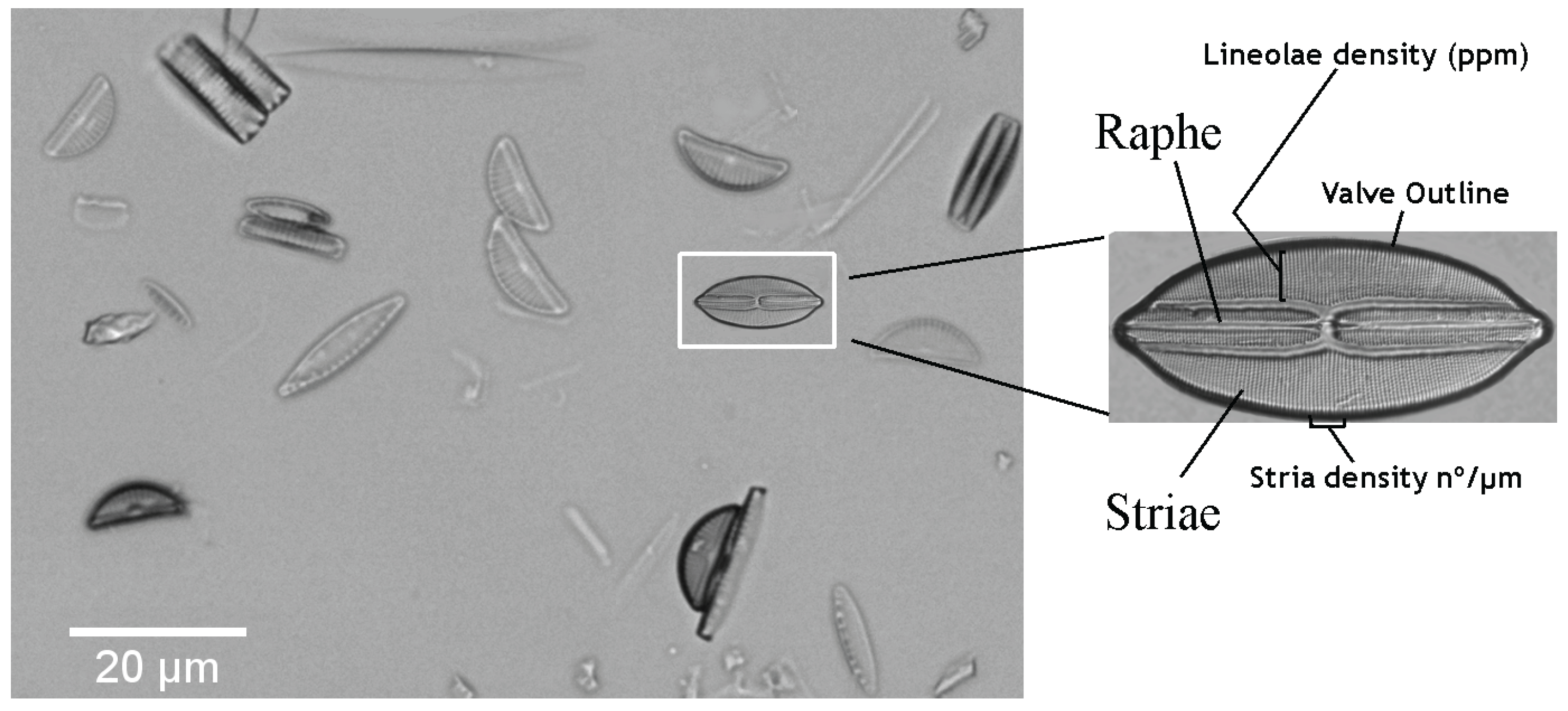 Applsci 07 00753 g001