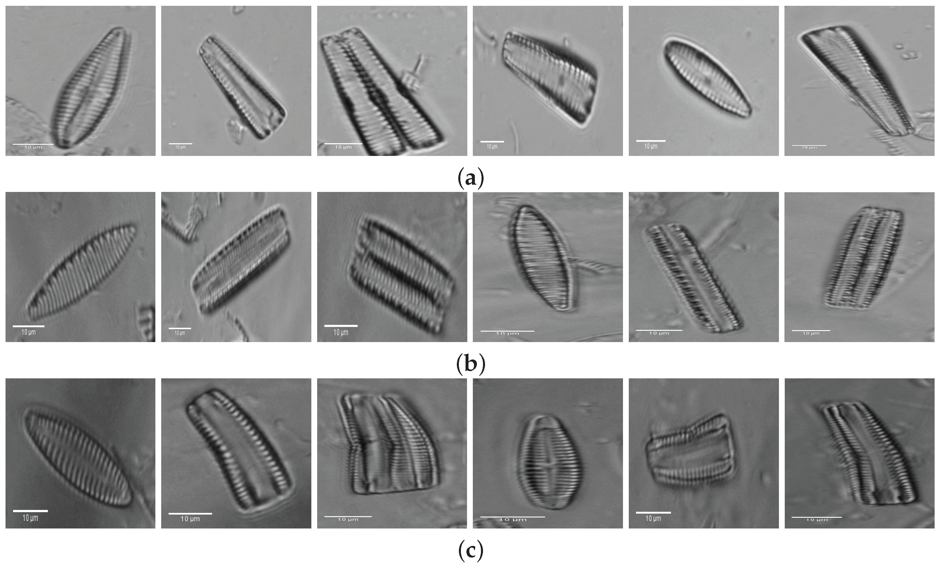 Applsci 07 00753 g003