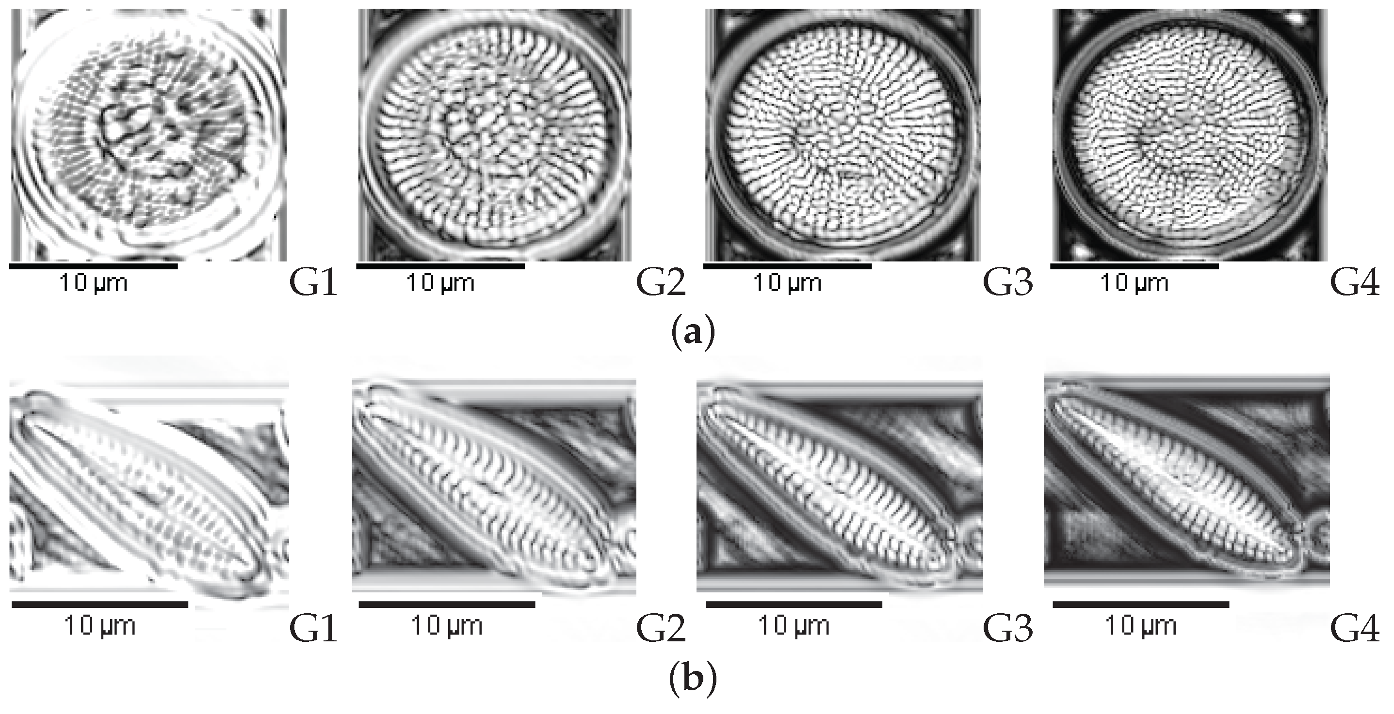 Applsci 07 00753 g006