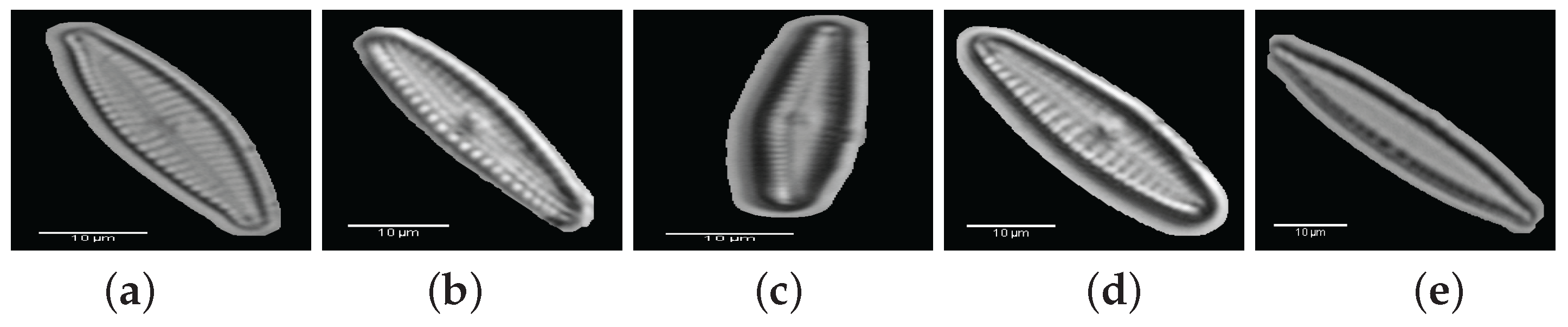 Applsci 07 00753 g013