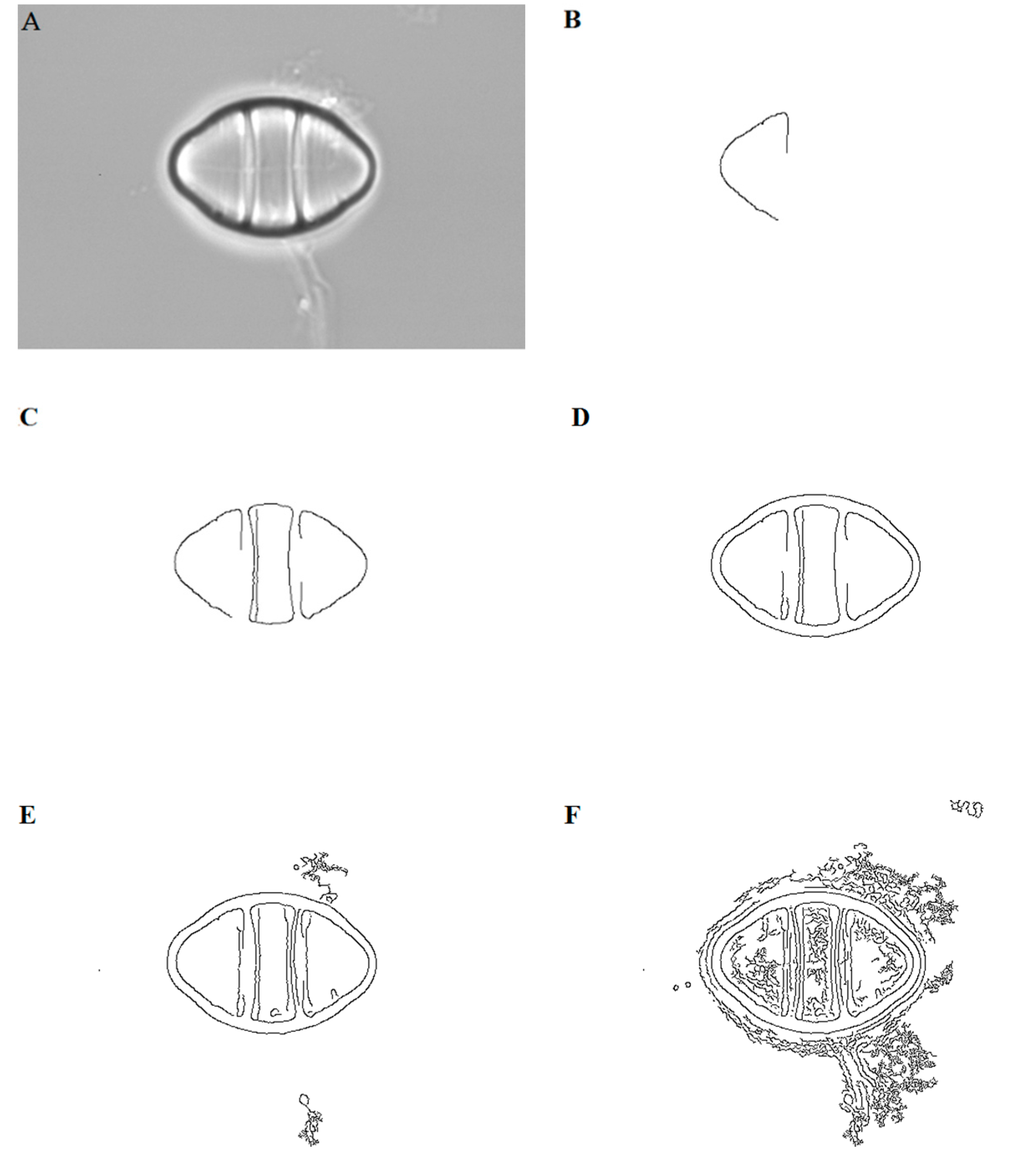 Applsci 07 00762 g001