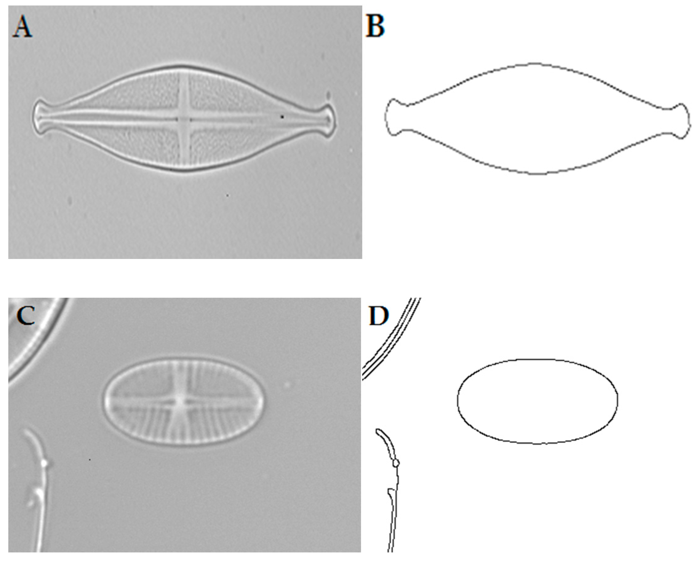 Applsci 07 00762 g004