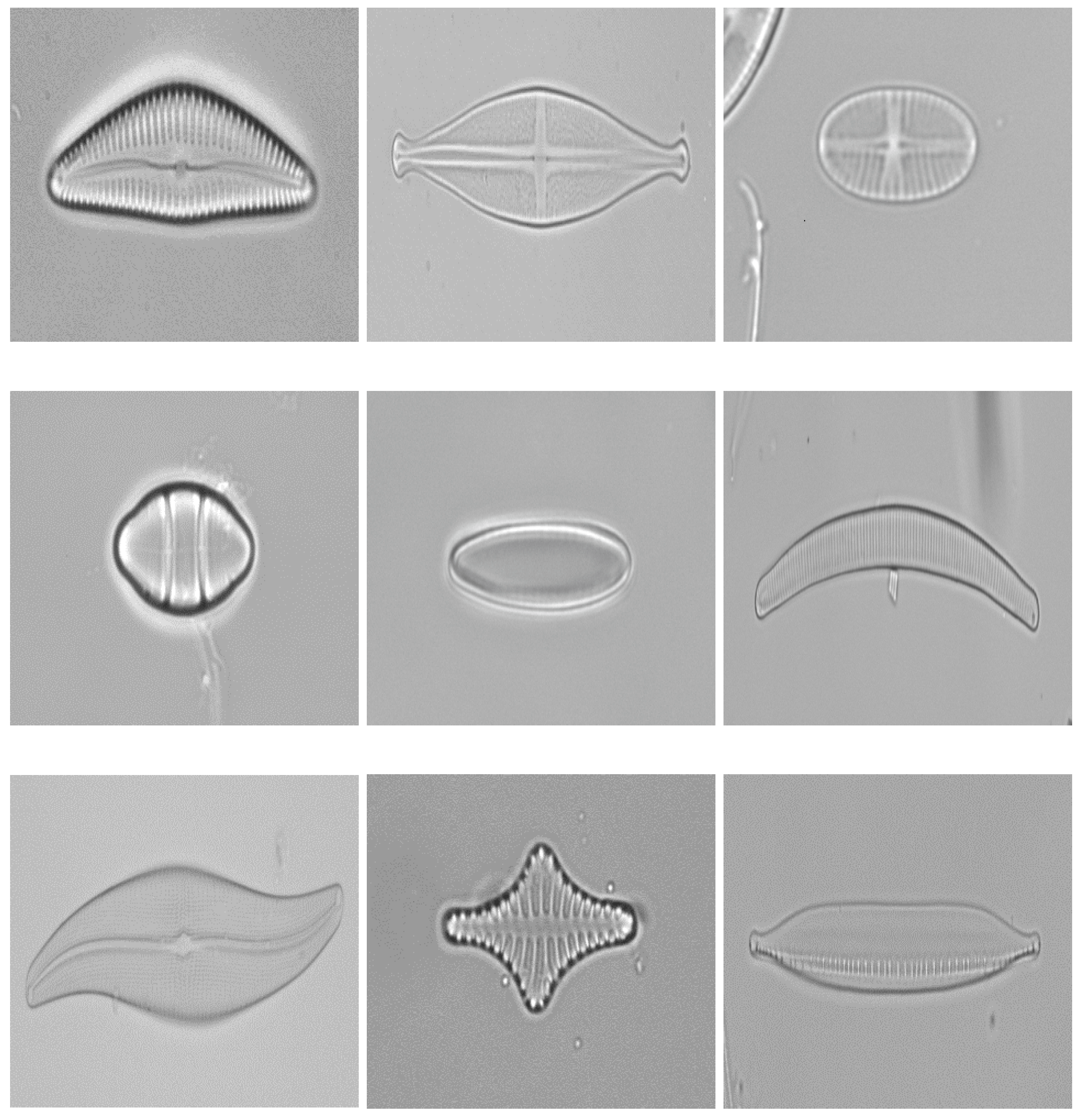 Applsci 07 00762 g005