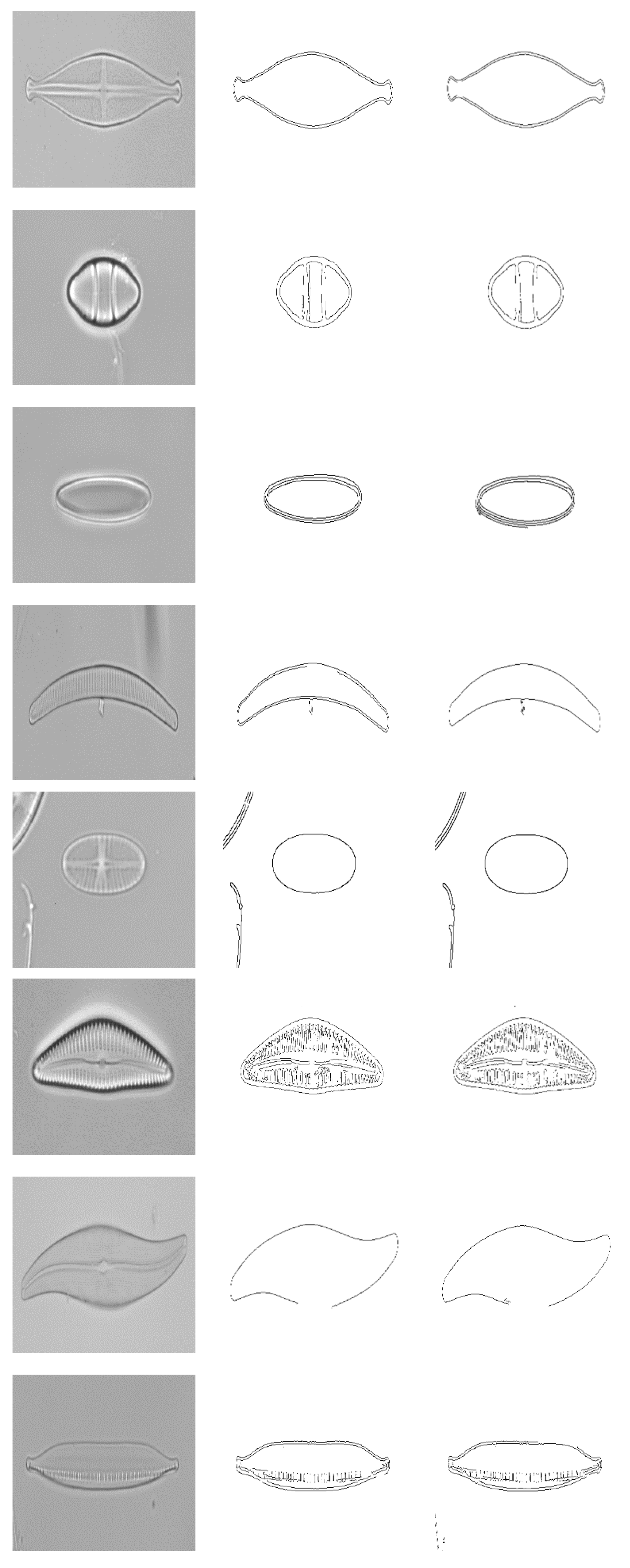 Applsci 07 00762 g006a