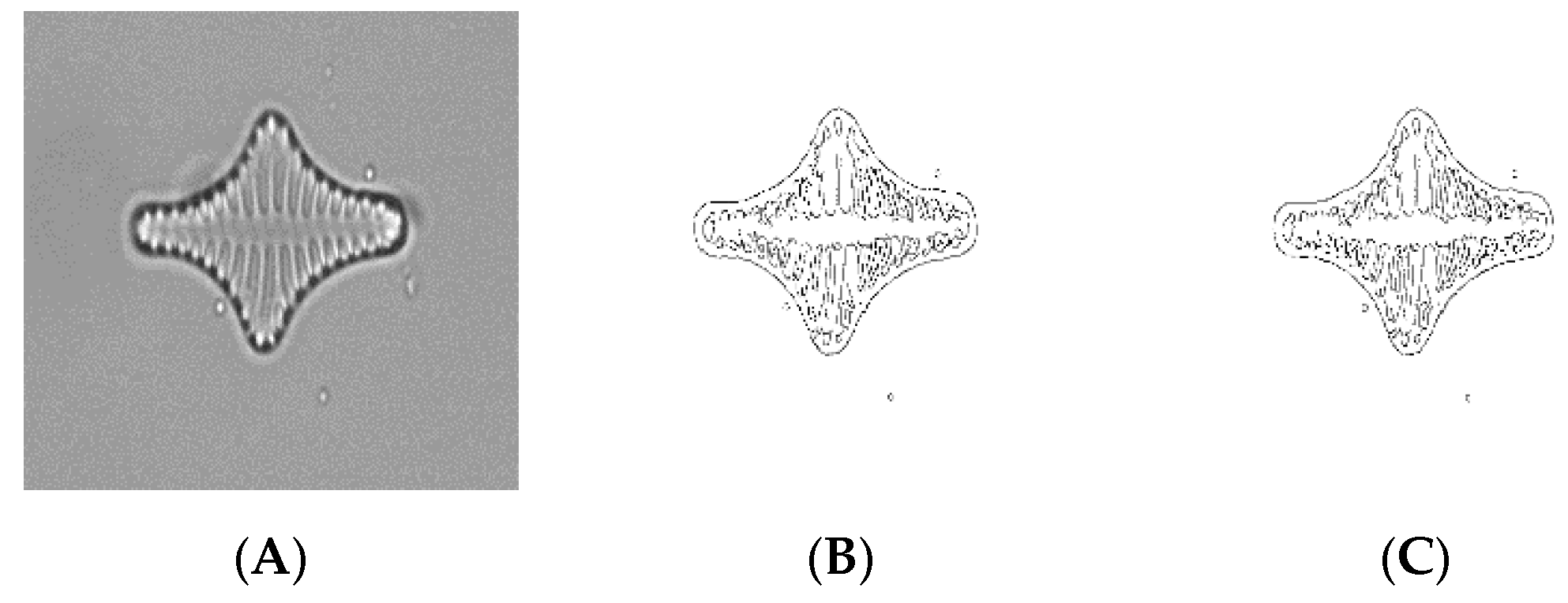Applsci 07 00762 g006b