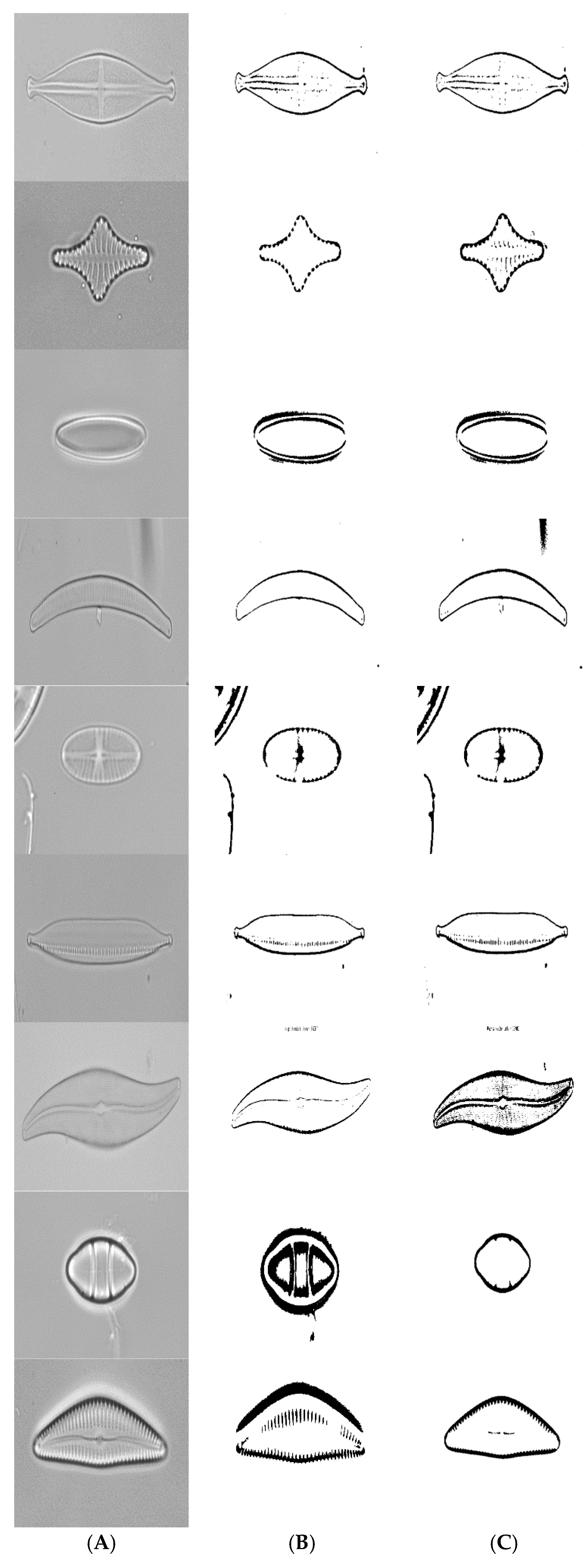 Applsci 07 00762 g009