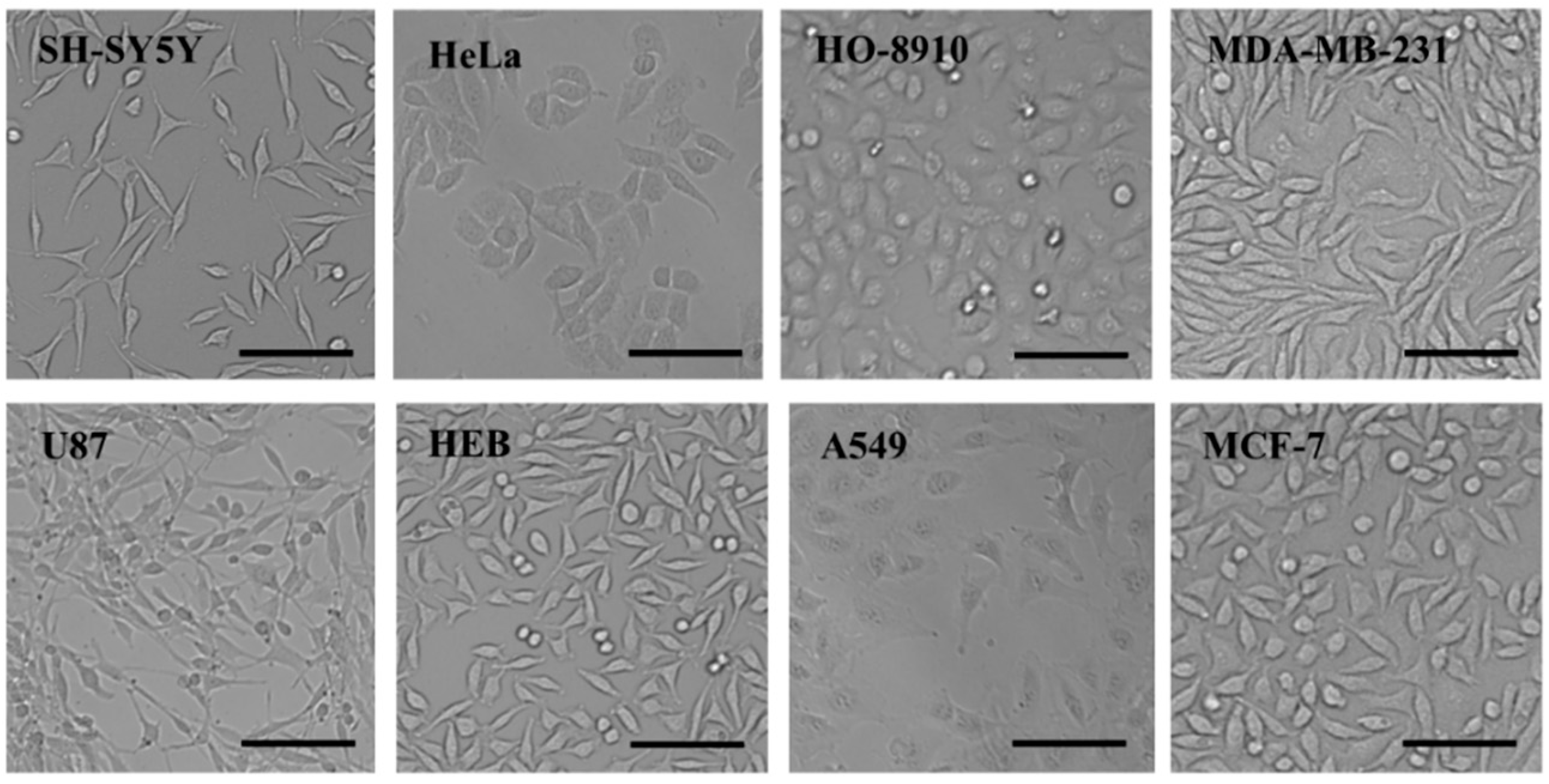 Applsci 07 00900 g001 Applsci 07 00900 g001