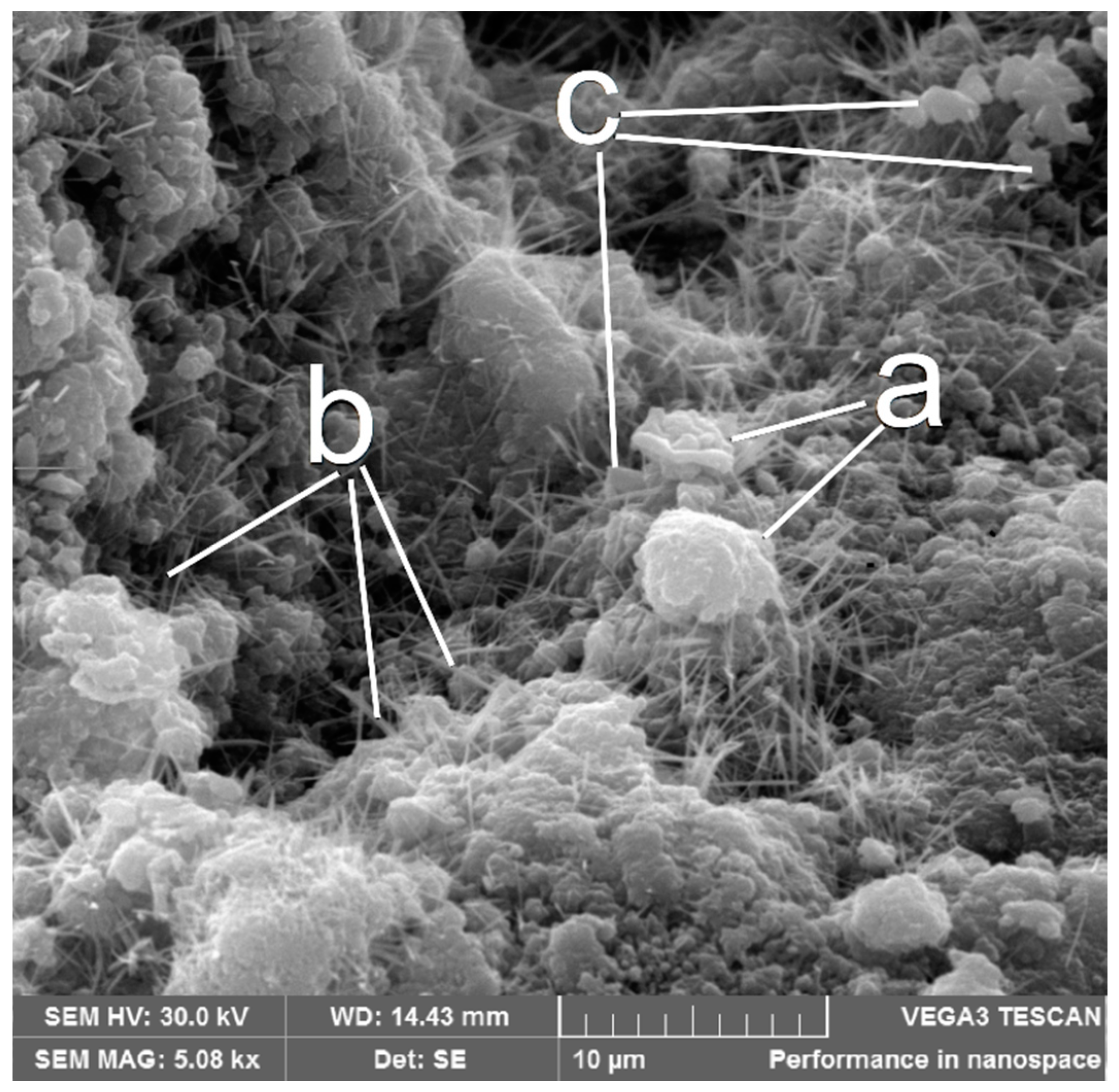 Applsci 07 00985 g005