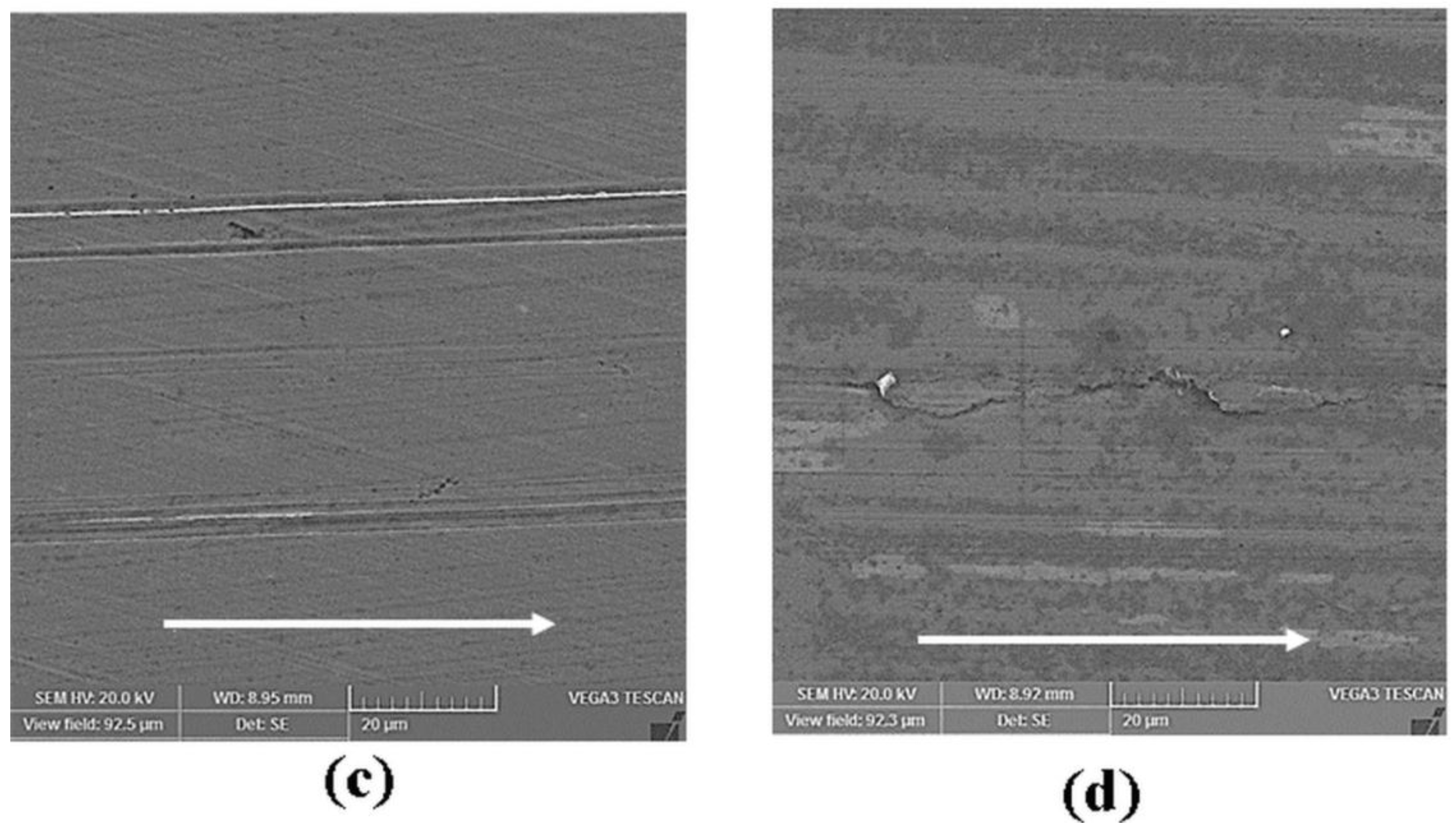 Applsci 07 01019 g008b