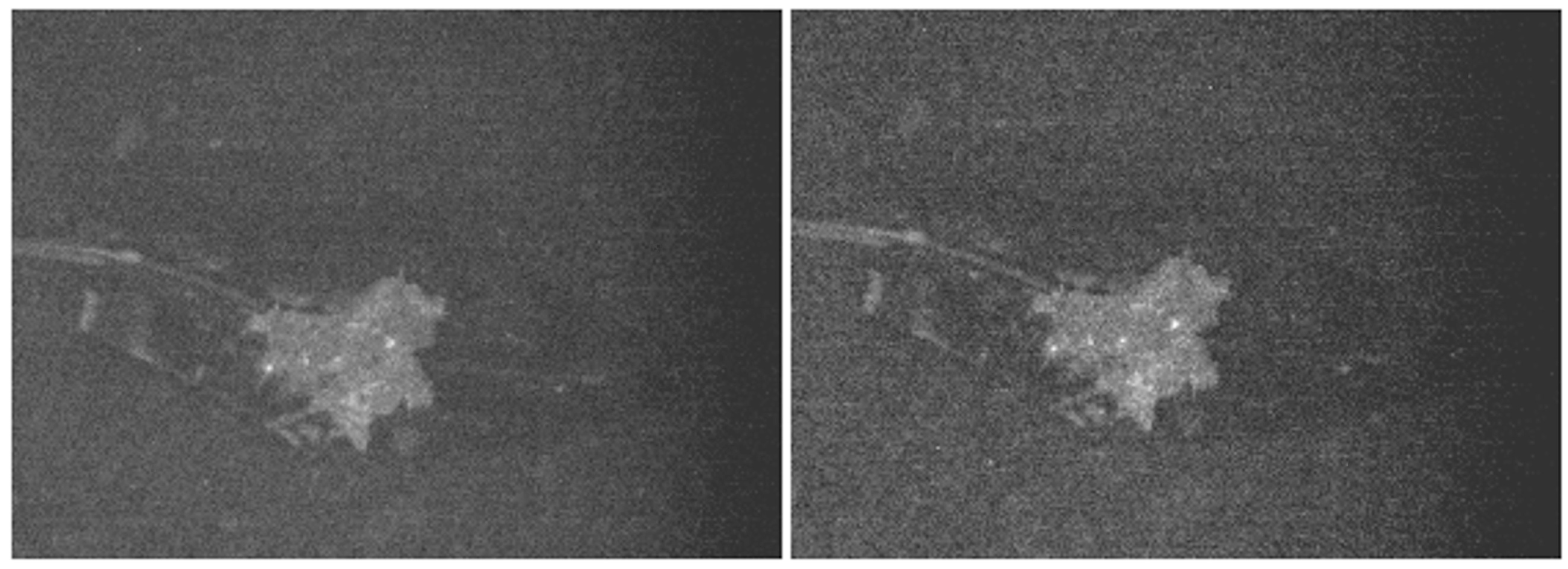 Applsci 07 01041 g003 Applsci 07 01041 g003