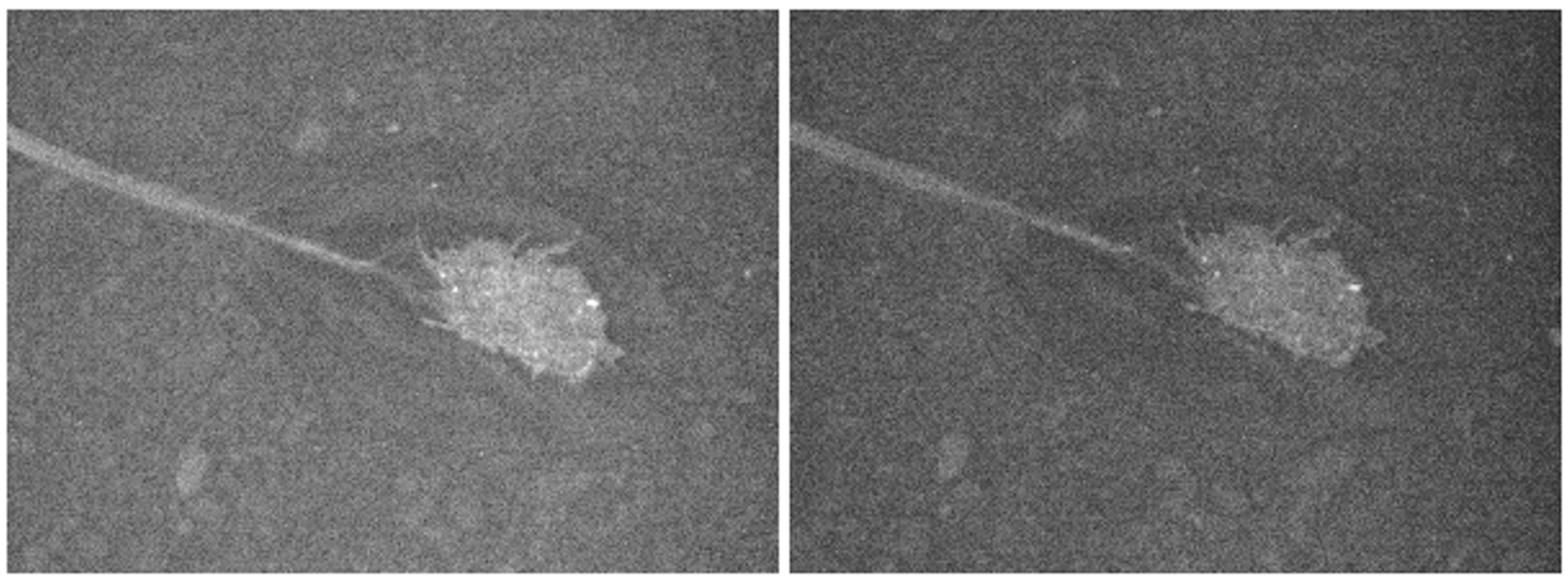 Applsci 07 01041 g005 Applsci 07 01041 g005