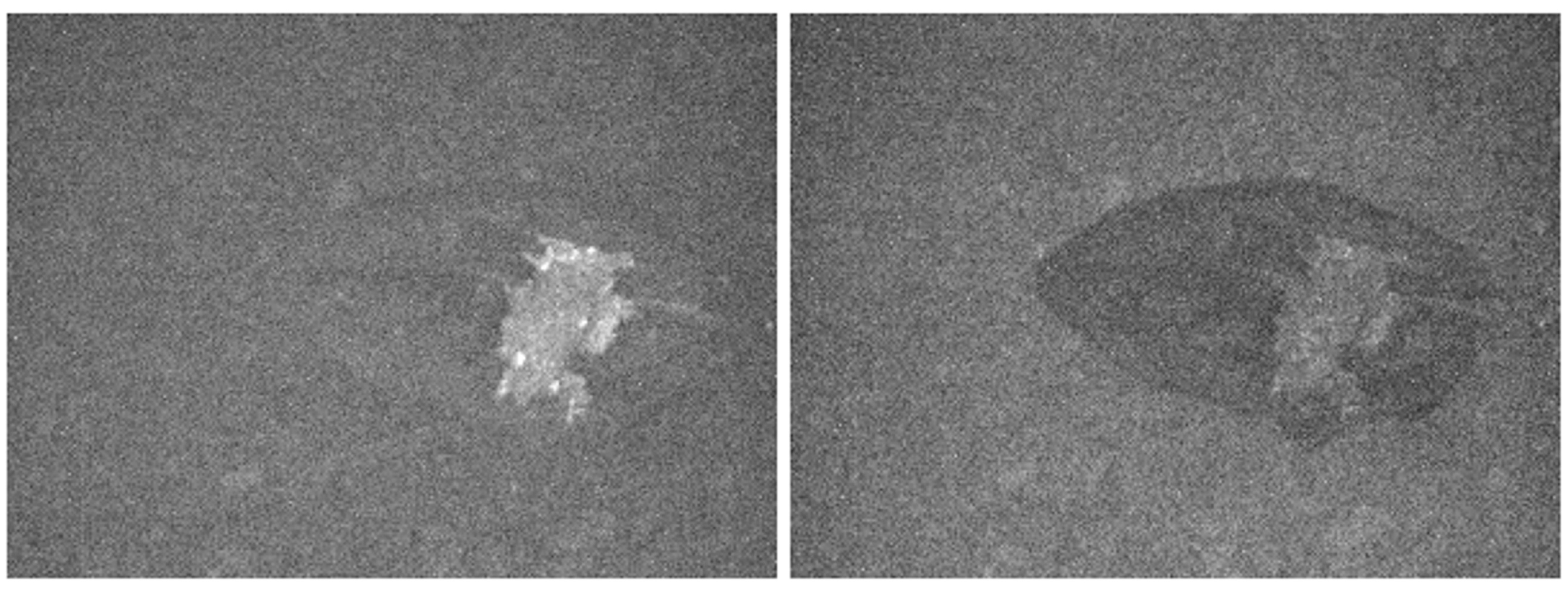 Applsci 07 01041 g007 Applsci 07 01041 g007