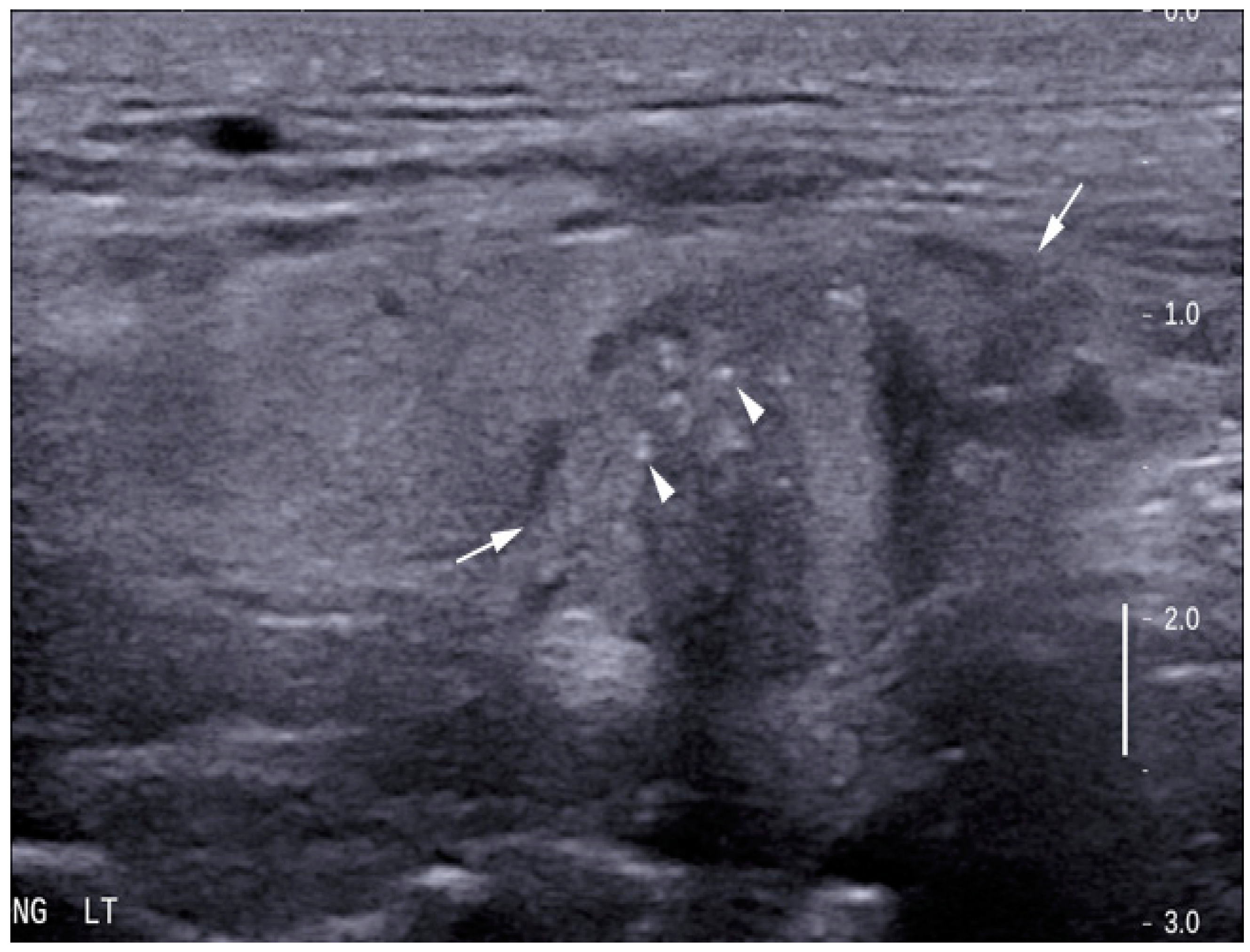 Applsci 07 01103 g002