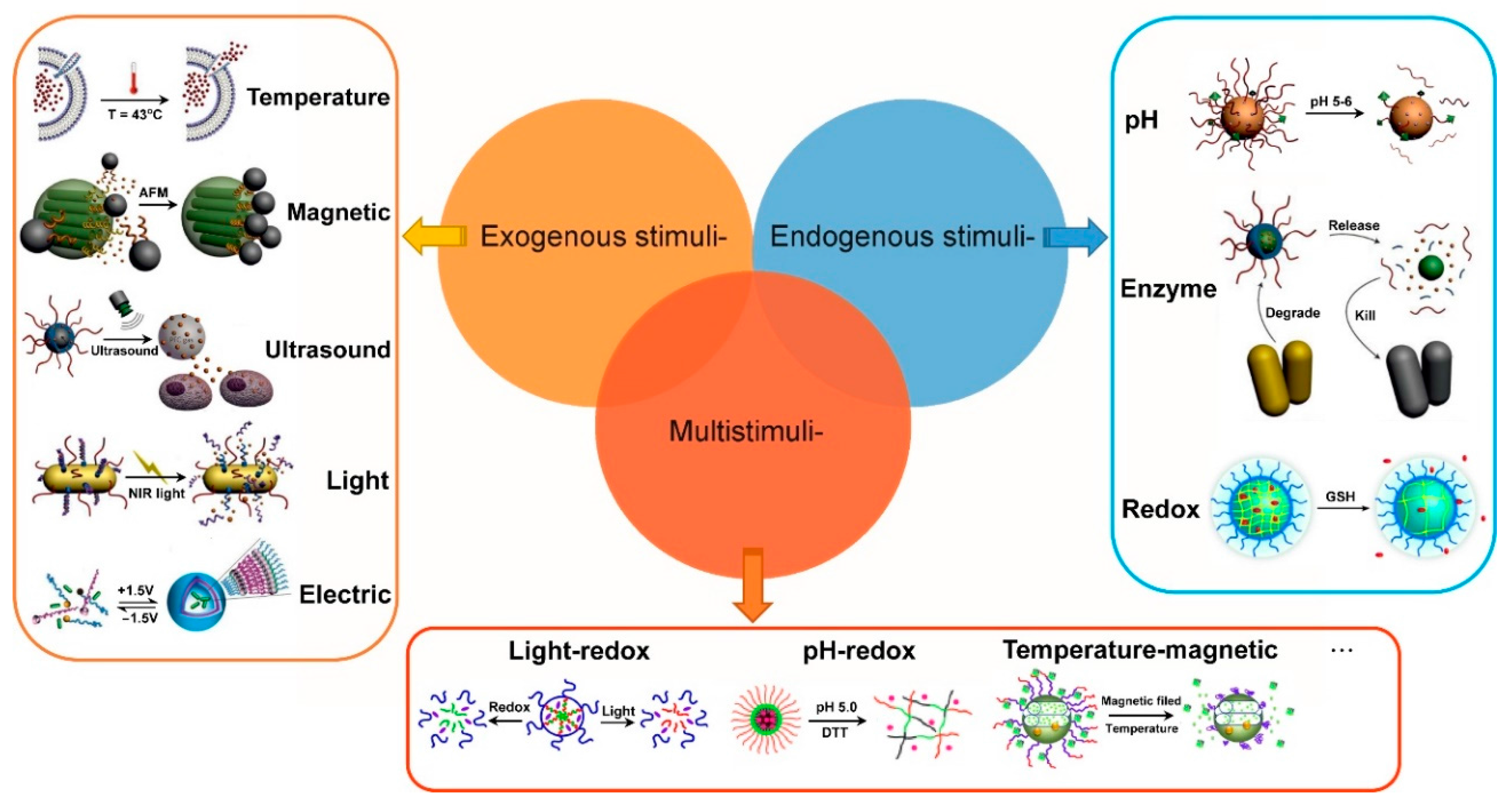 Applsci 07 01175 g001