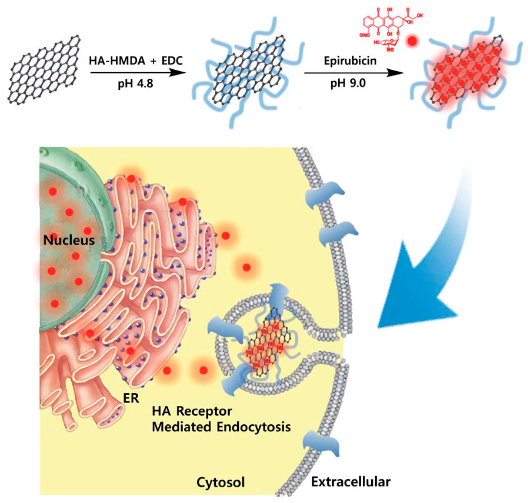 Applsci 07 01175 g005