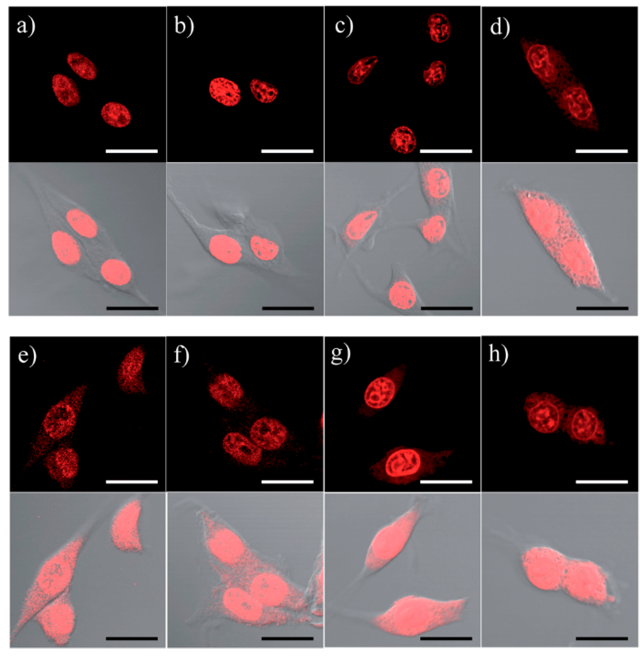 Applsci 07 01175 g006