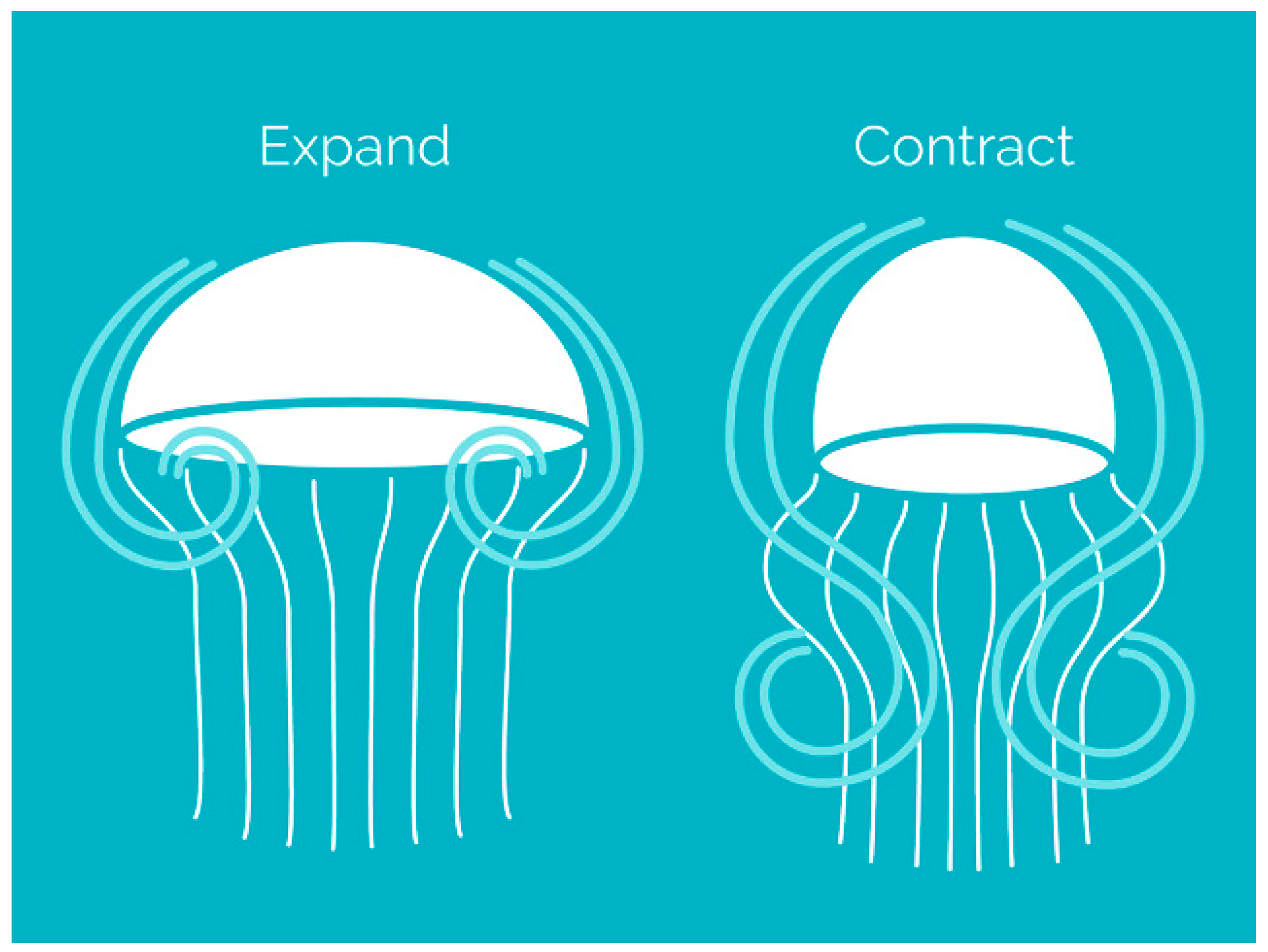 Applsci 07 01196 g002 Applsci 07 01196 g002