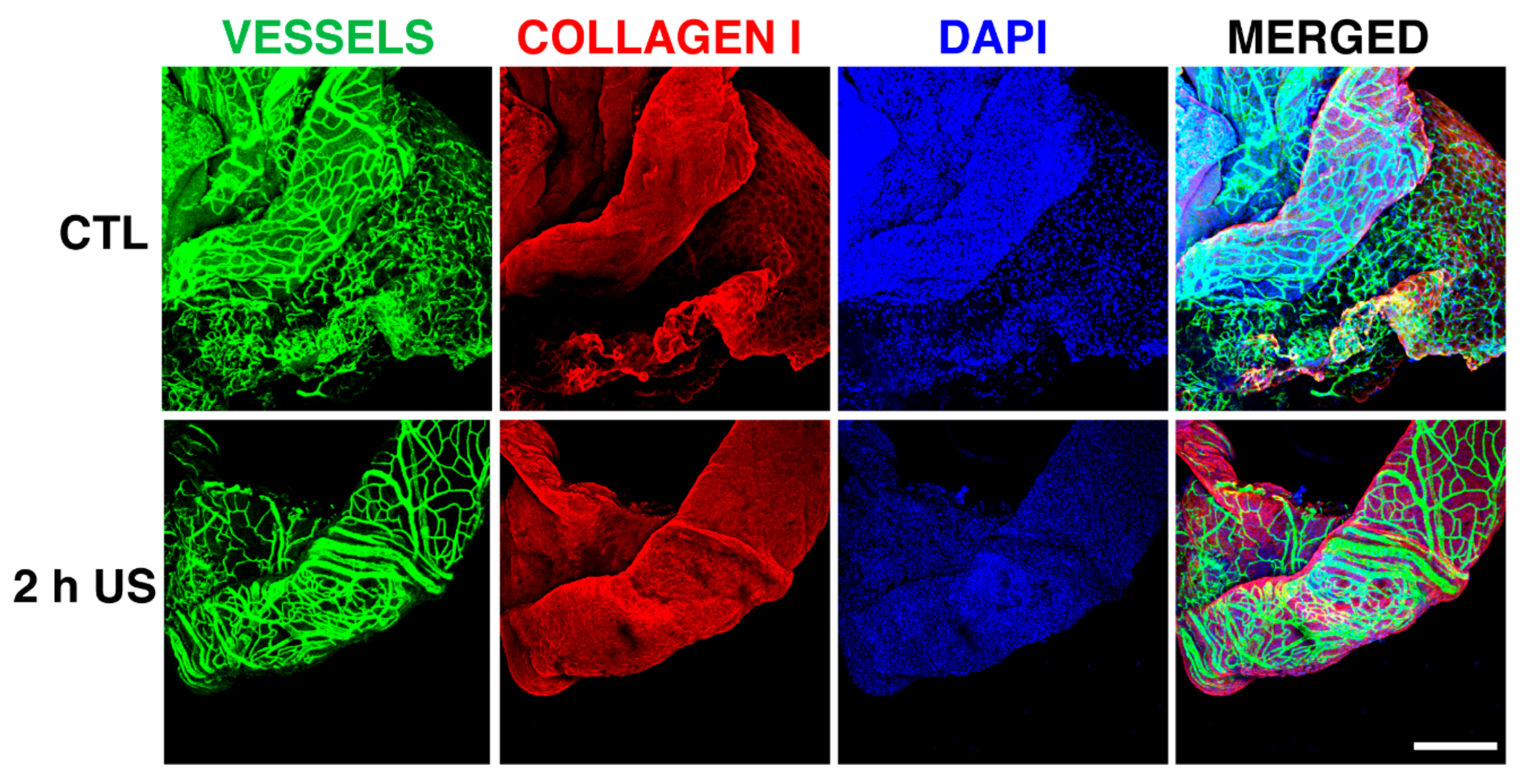 Applsci 07 01275 g003