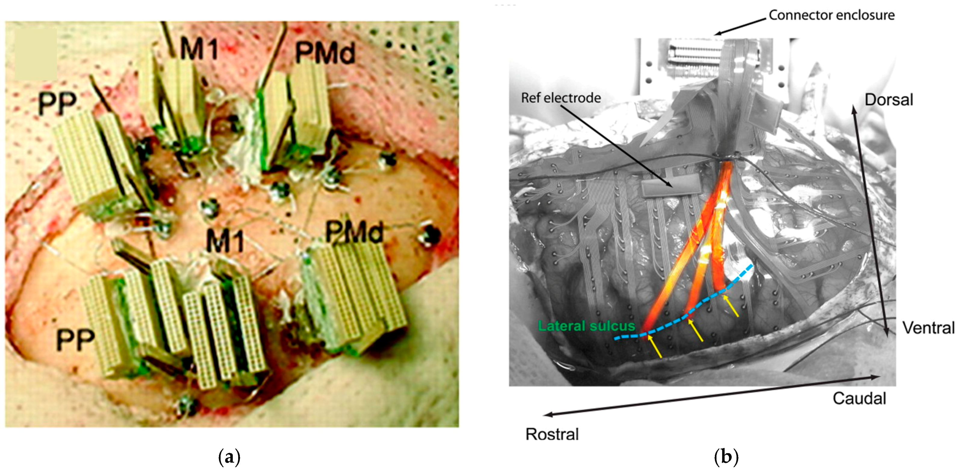 Applsci 07 01292 g003 Applsci 07 01292 g003